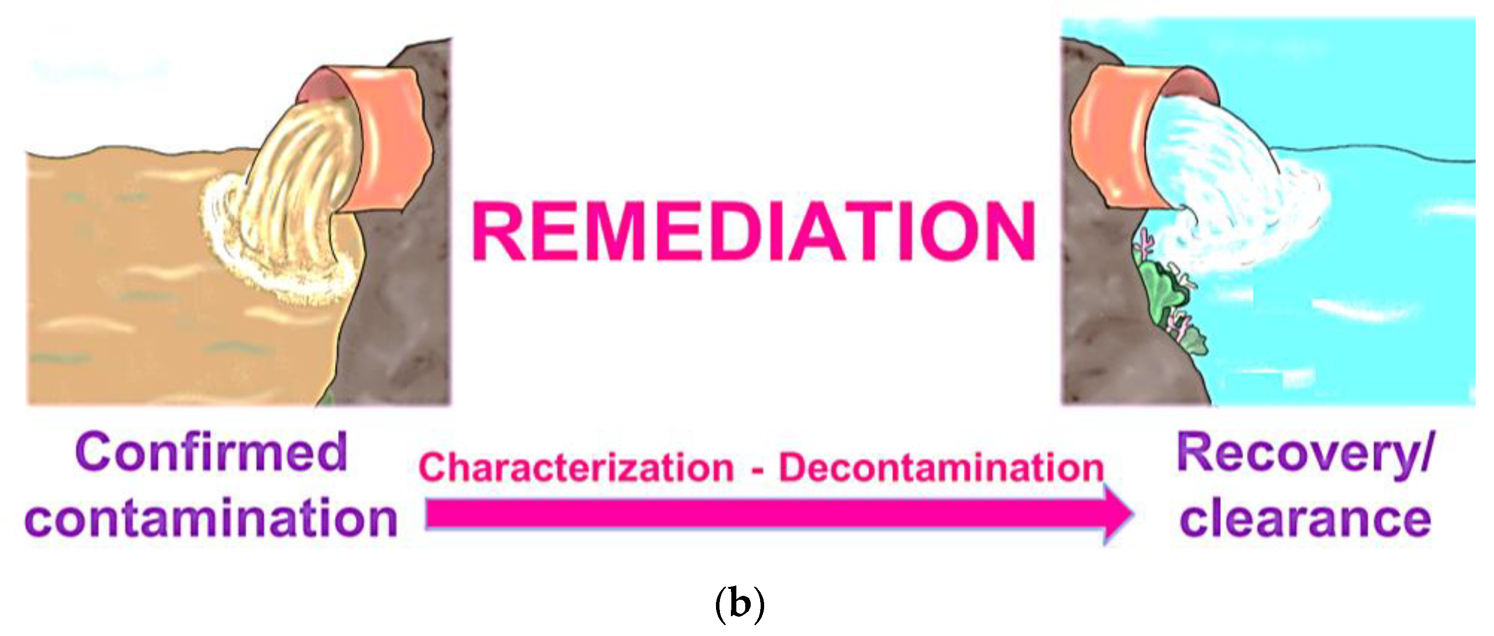 Toxics 11 00658 g005b