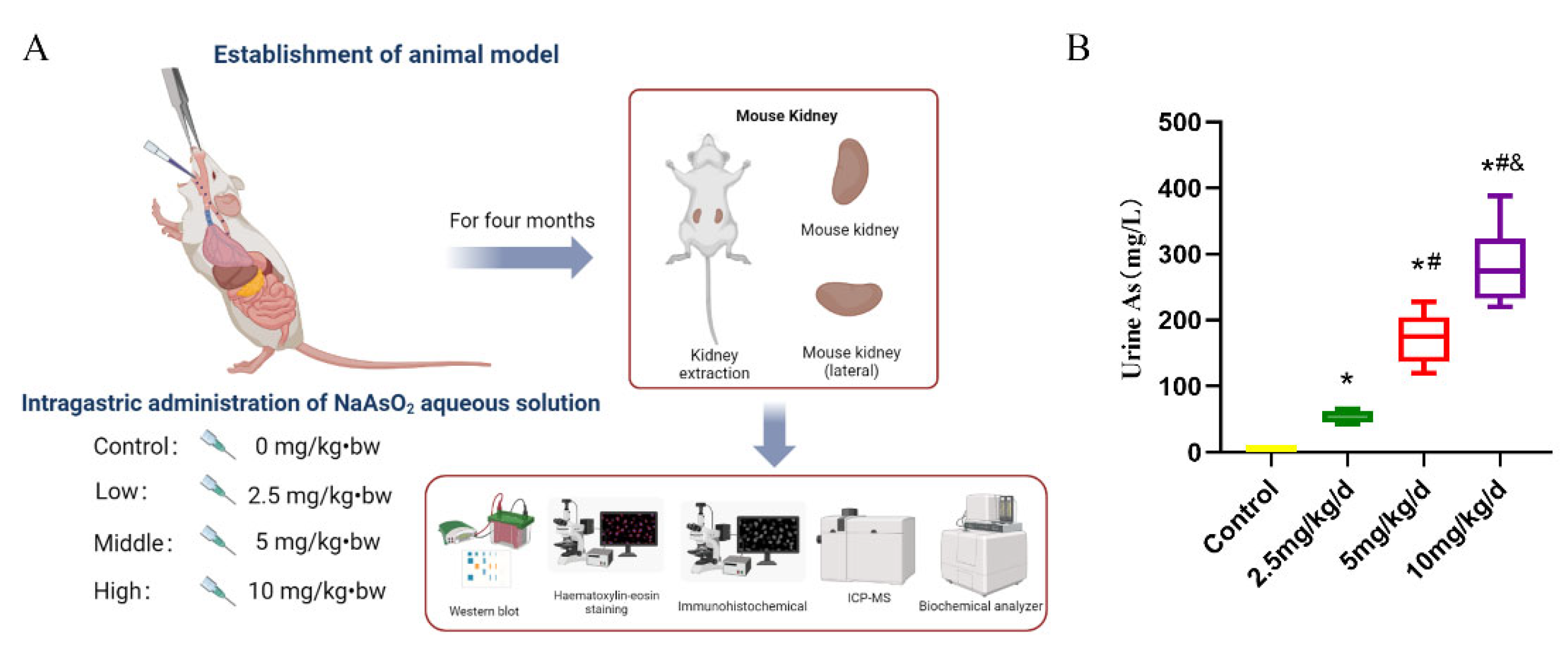 Toxics 11 00668 g001