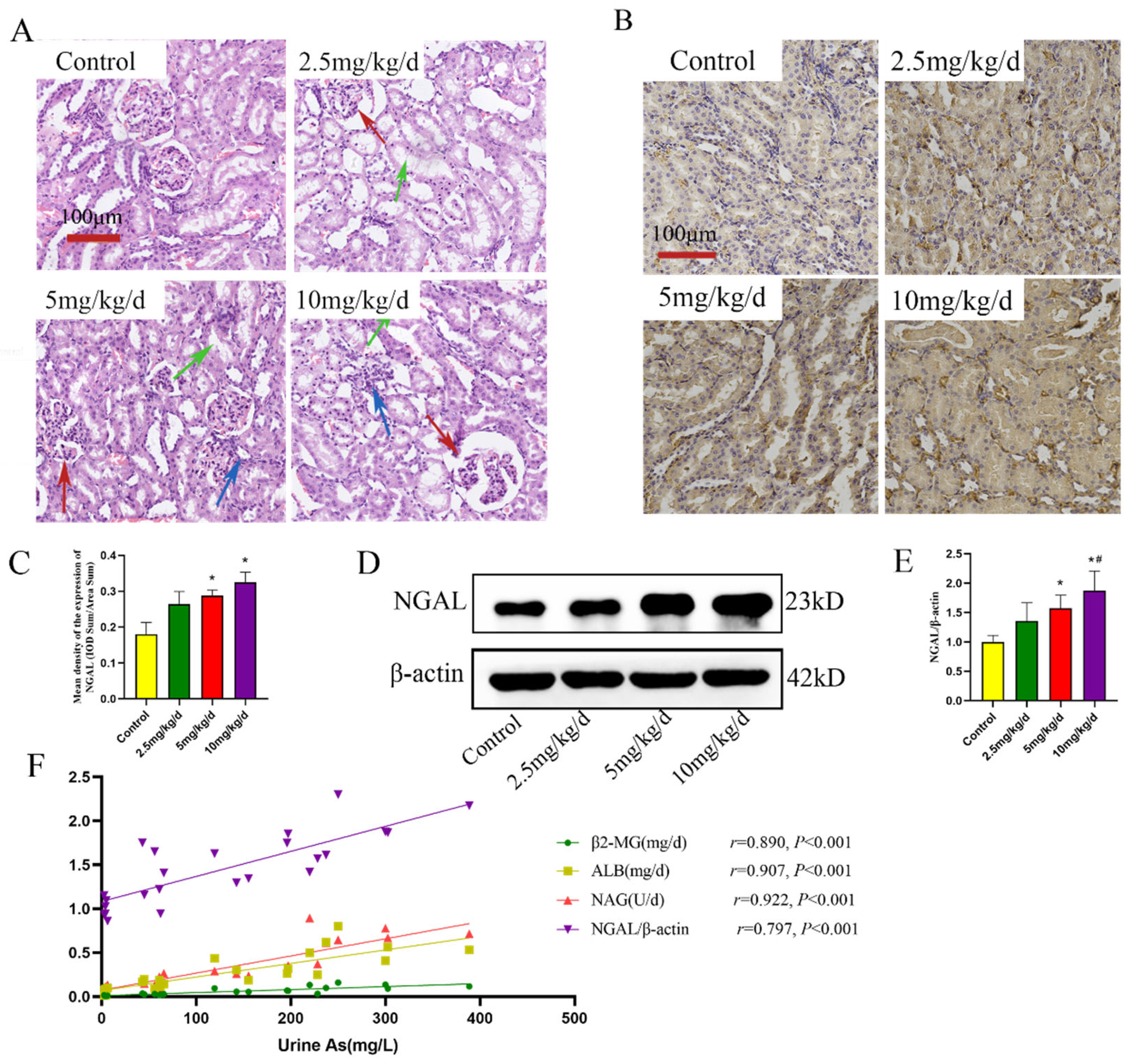 Toxics 11 00668 g003