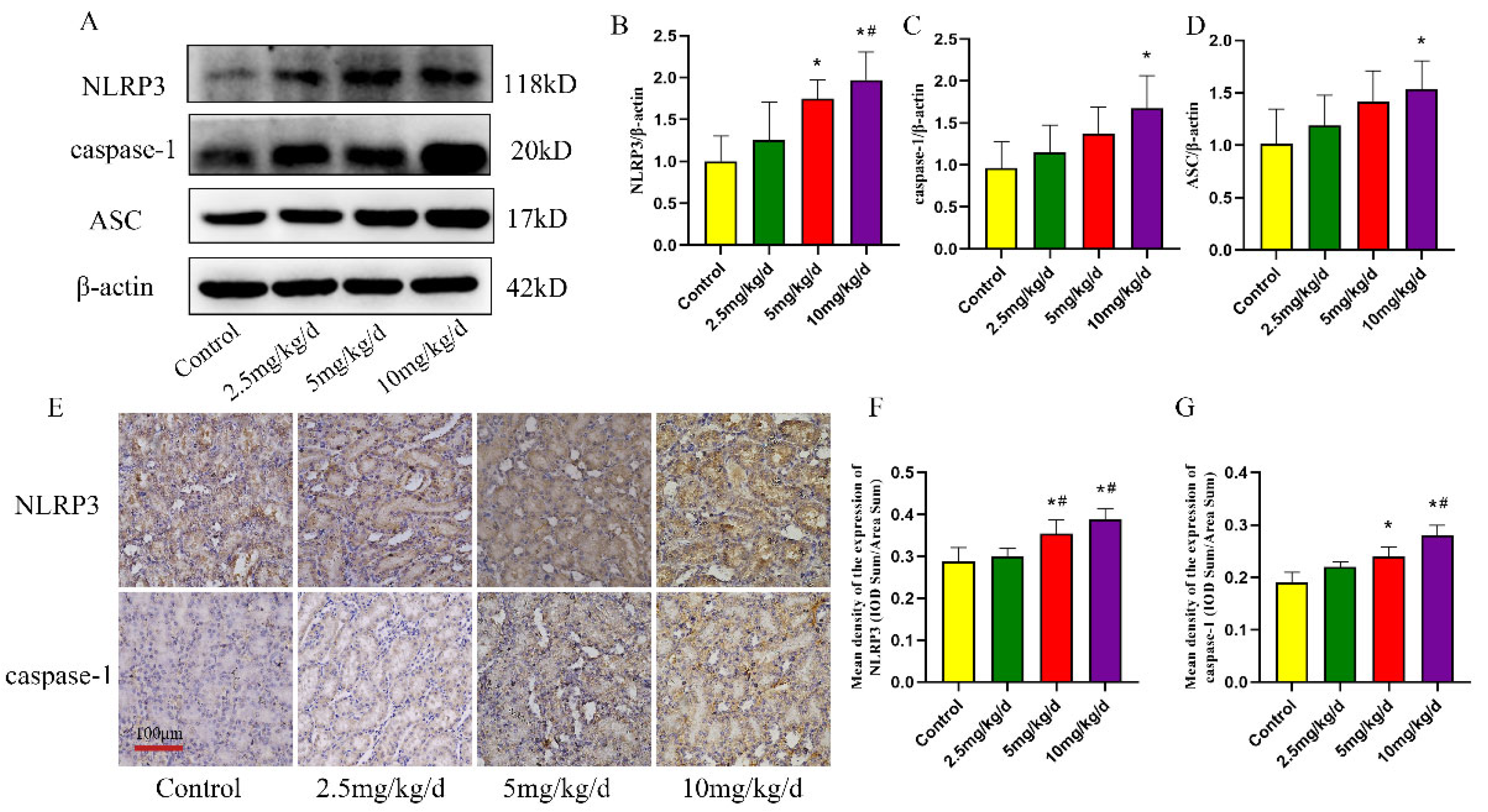 Toxics 11 00668 g005