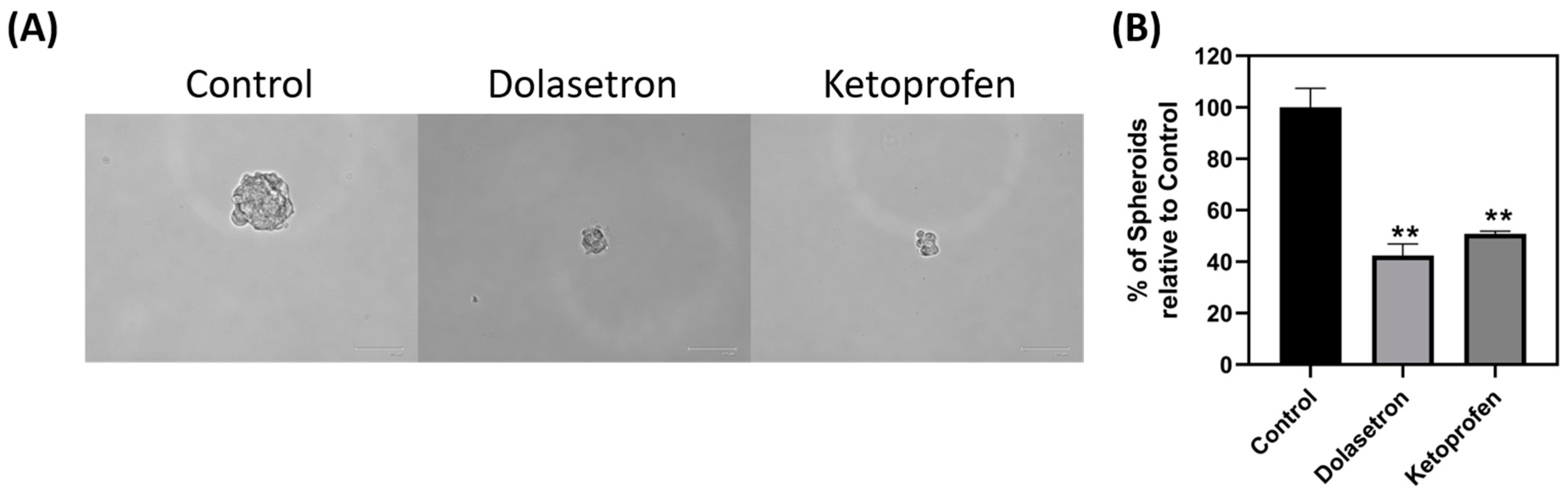 Toxics 11 00669 g006