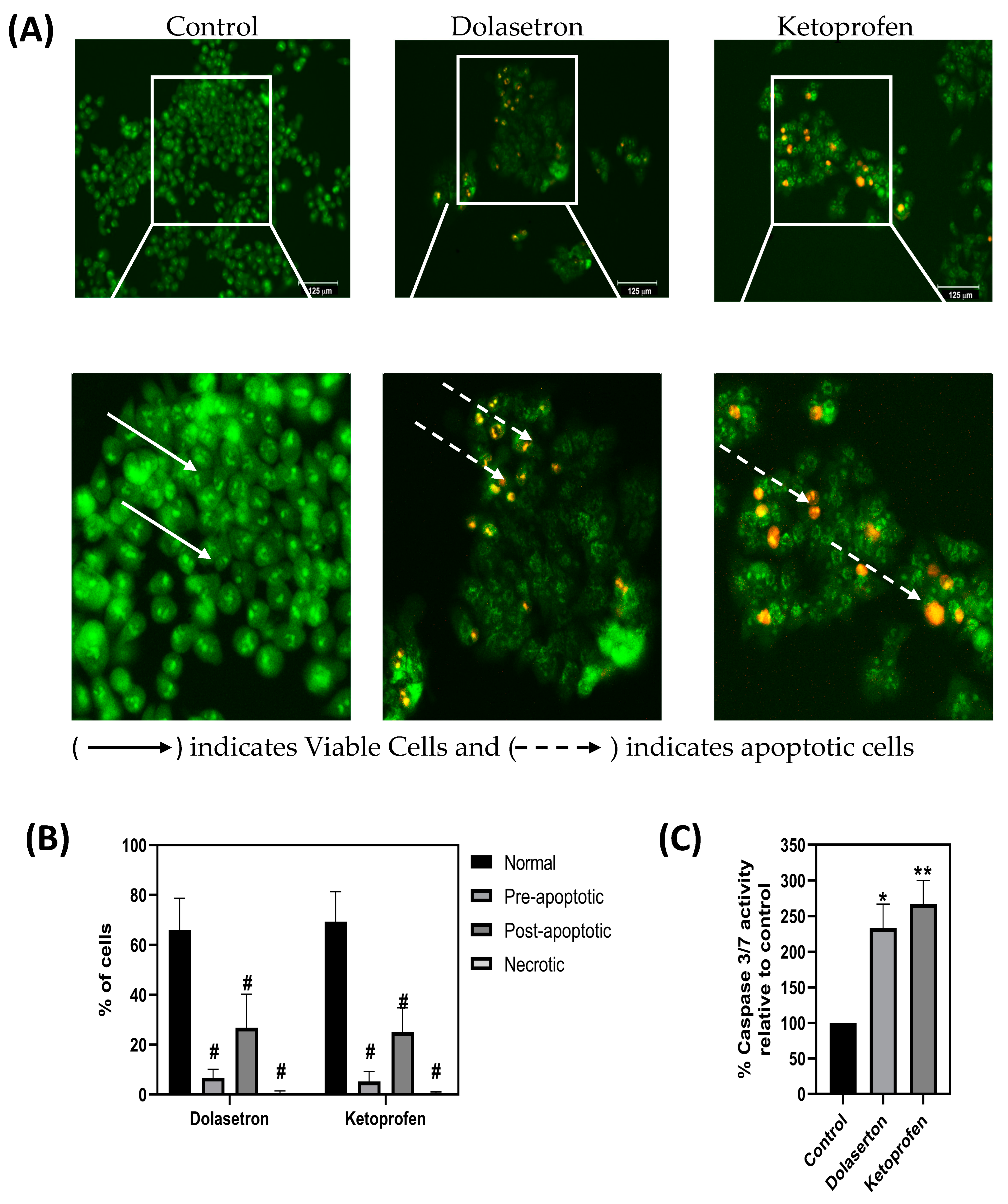 Toxics 11 00669 g007