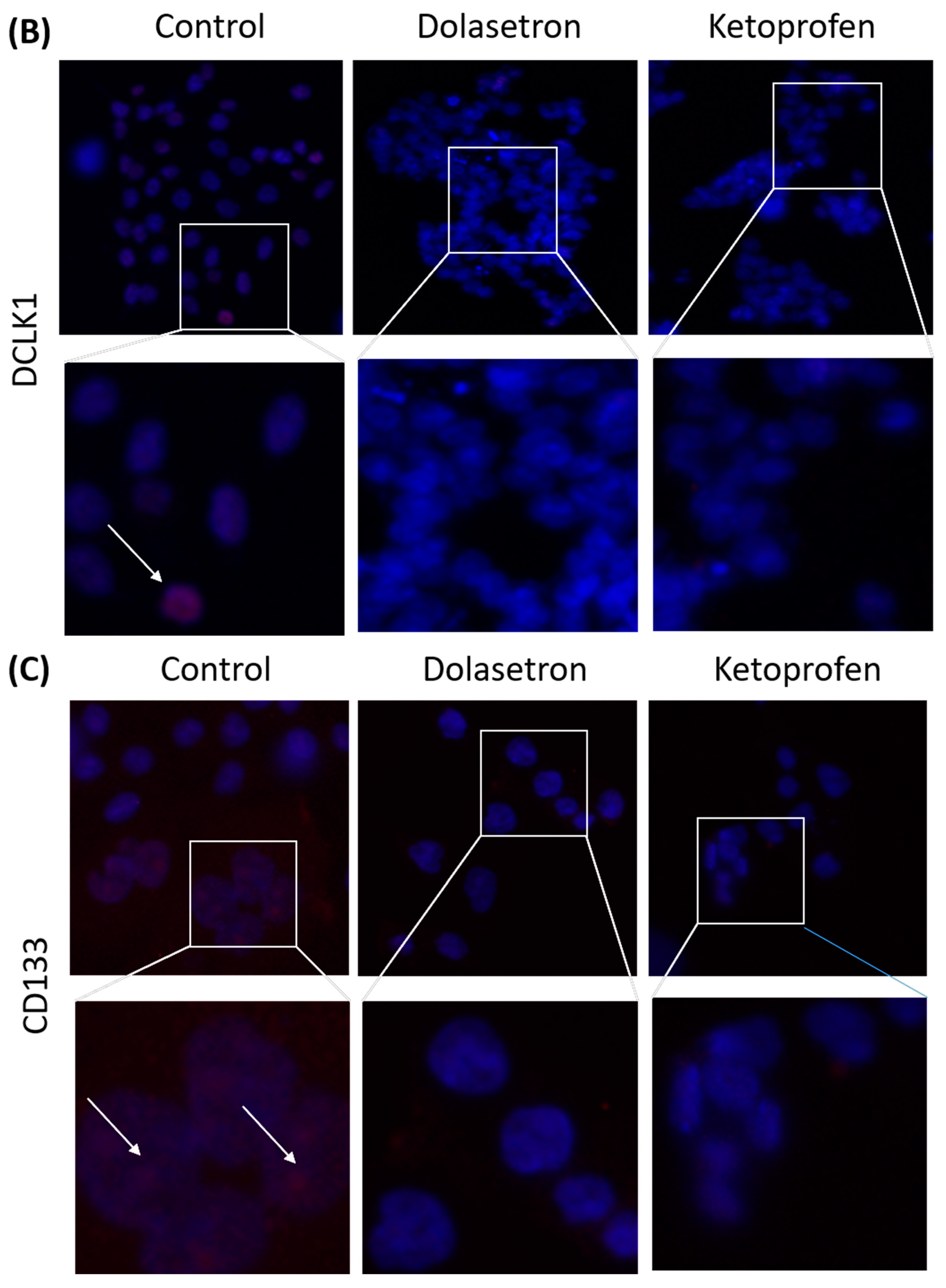 Toxics 11 00669 g008b