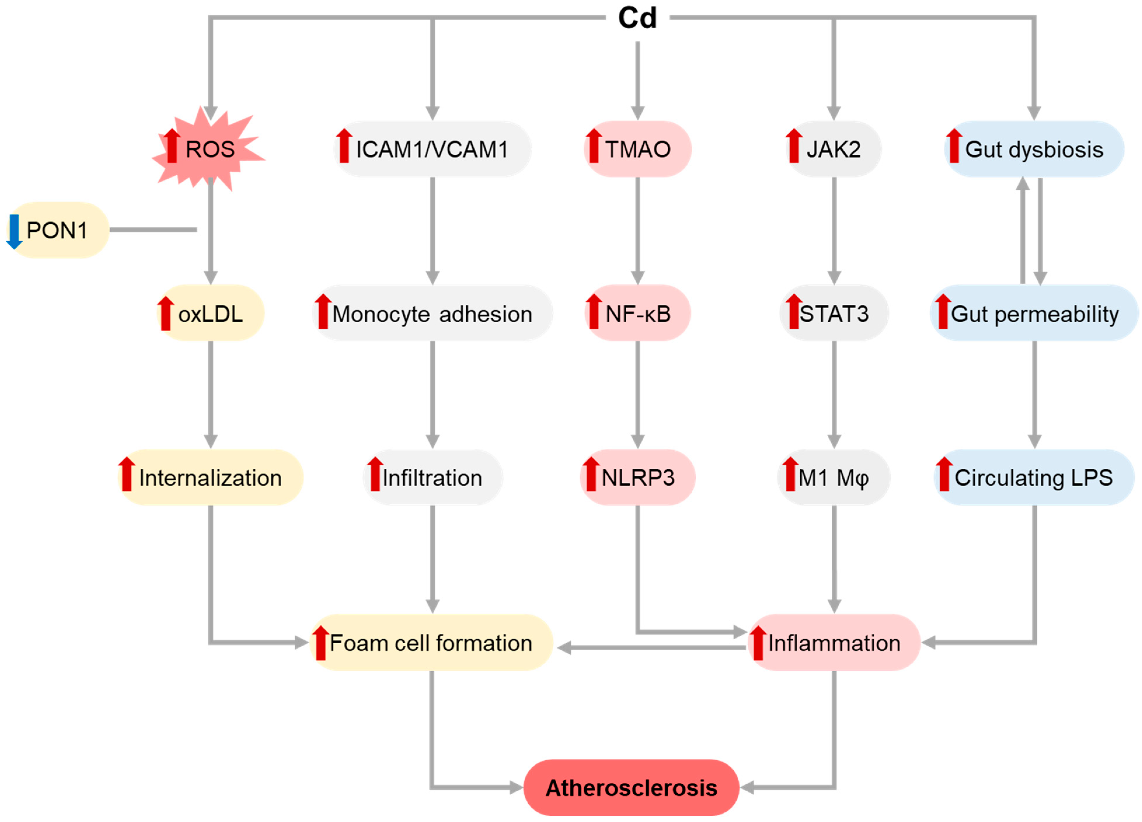 Toxics 11 00670 g002 Toxics 11 00670 g002