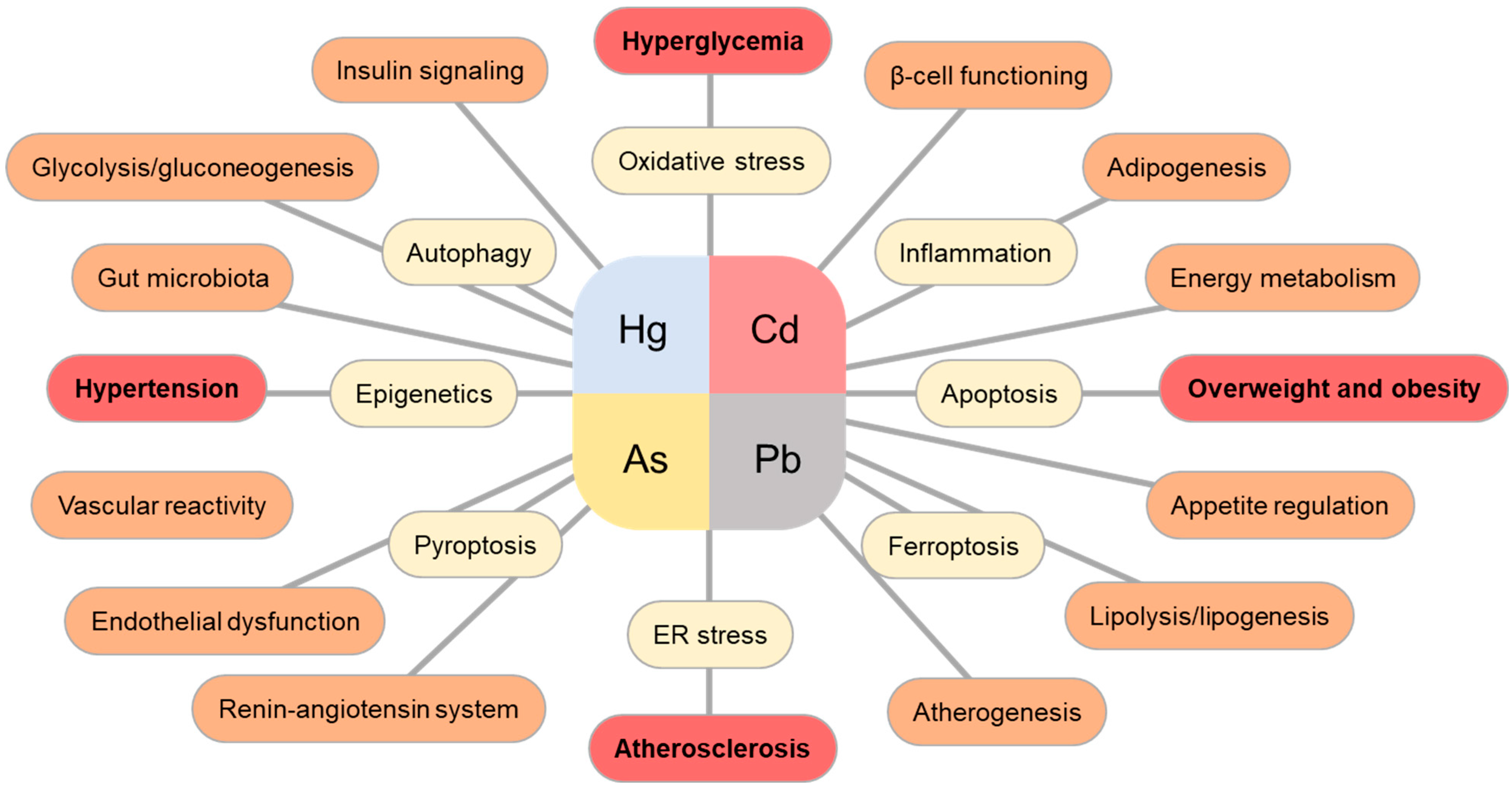 Toxics 11 00670 g004 Toxics 11 00670 g004