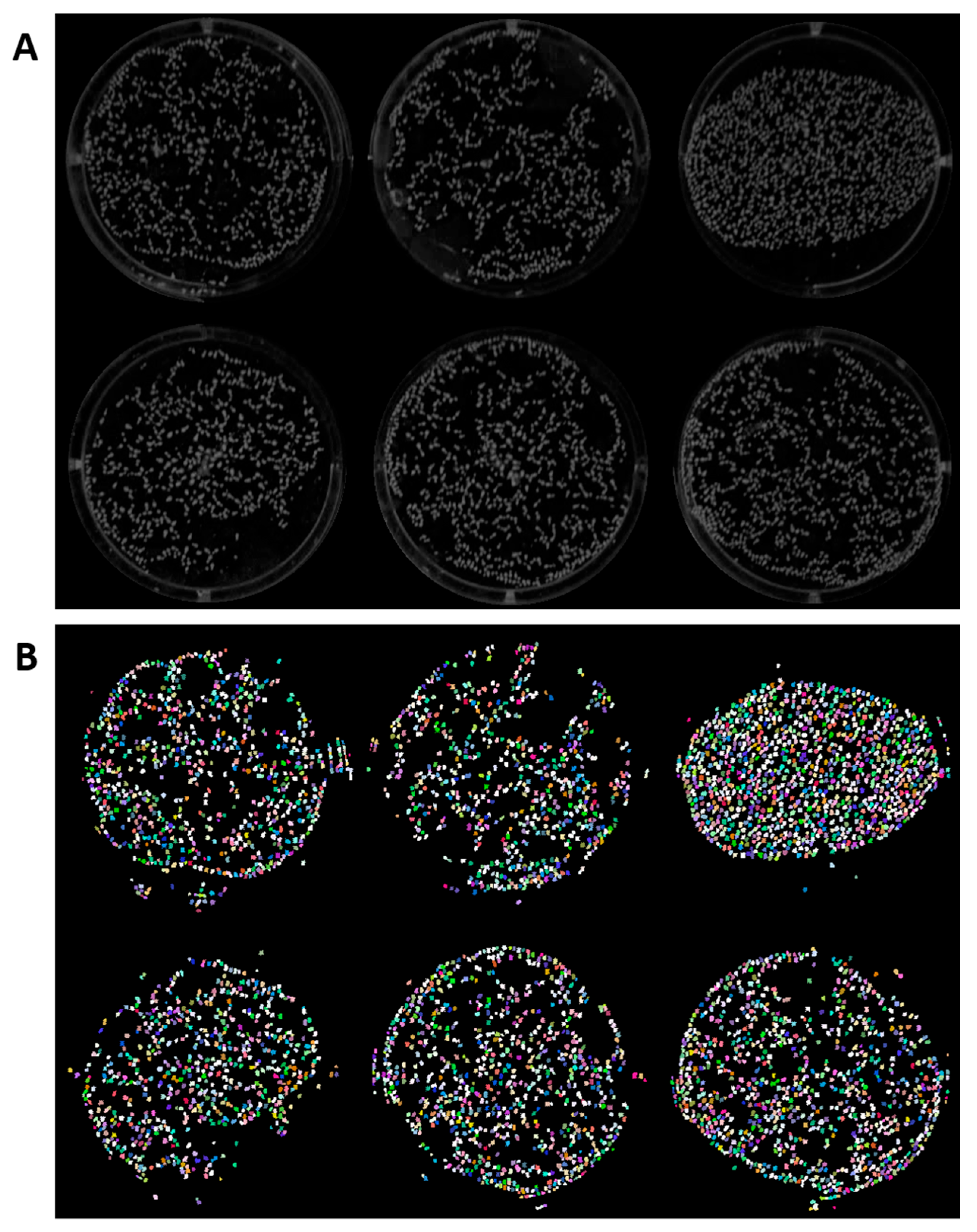 Toxics 11 00680 g002 Toxics 11 00680 g002