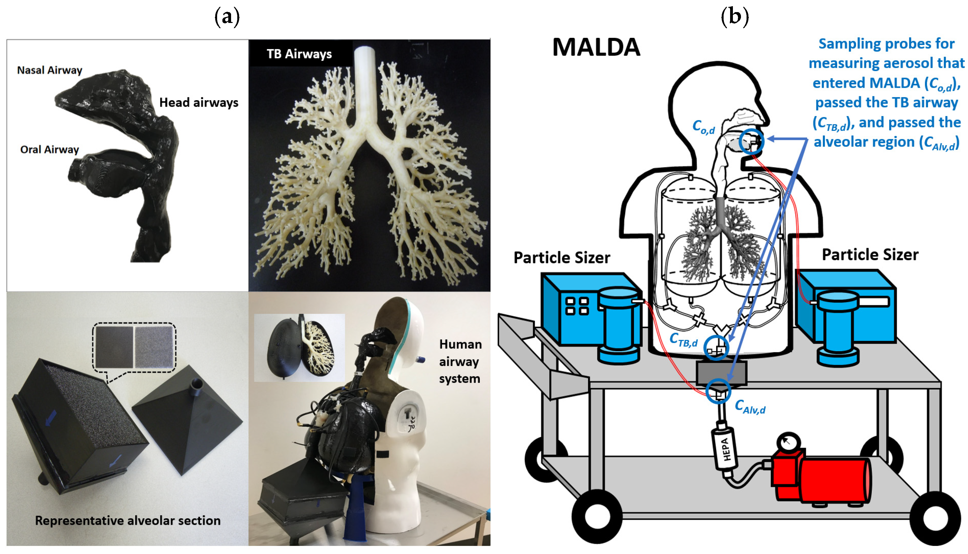 Toxics 11 00684 g001 Toxics 11 00684 g001