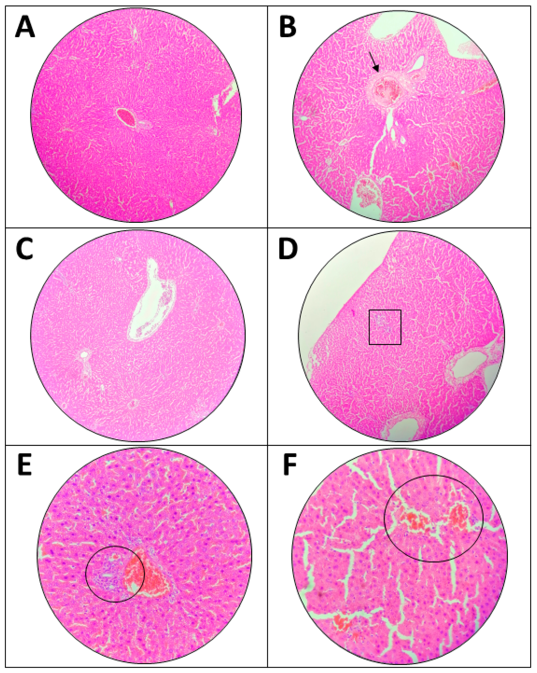 Toxics 11 00688 g004