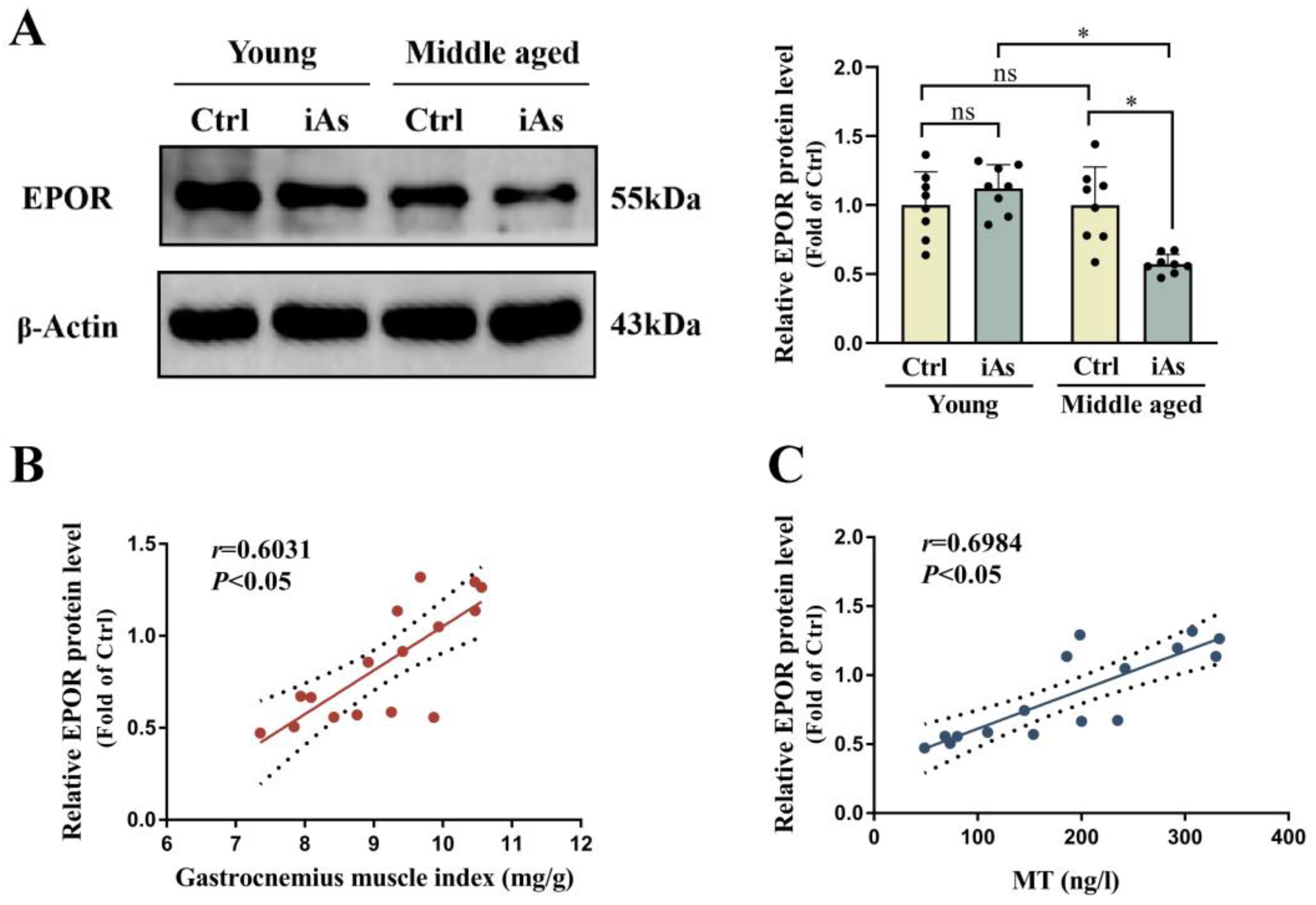 Toxics 11 00689 g006