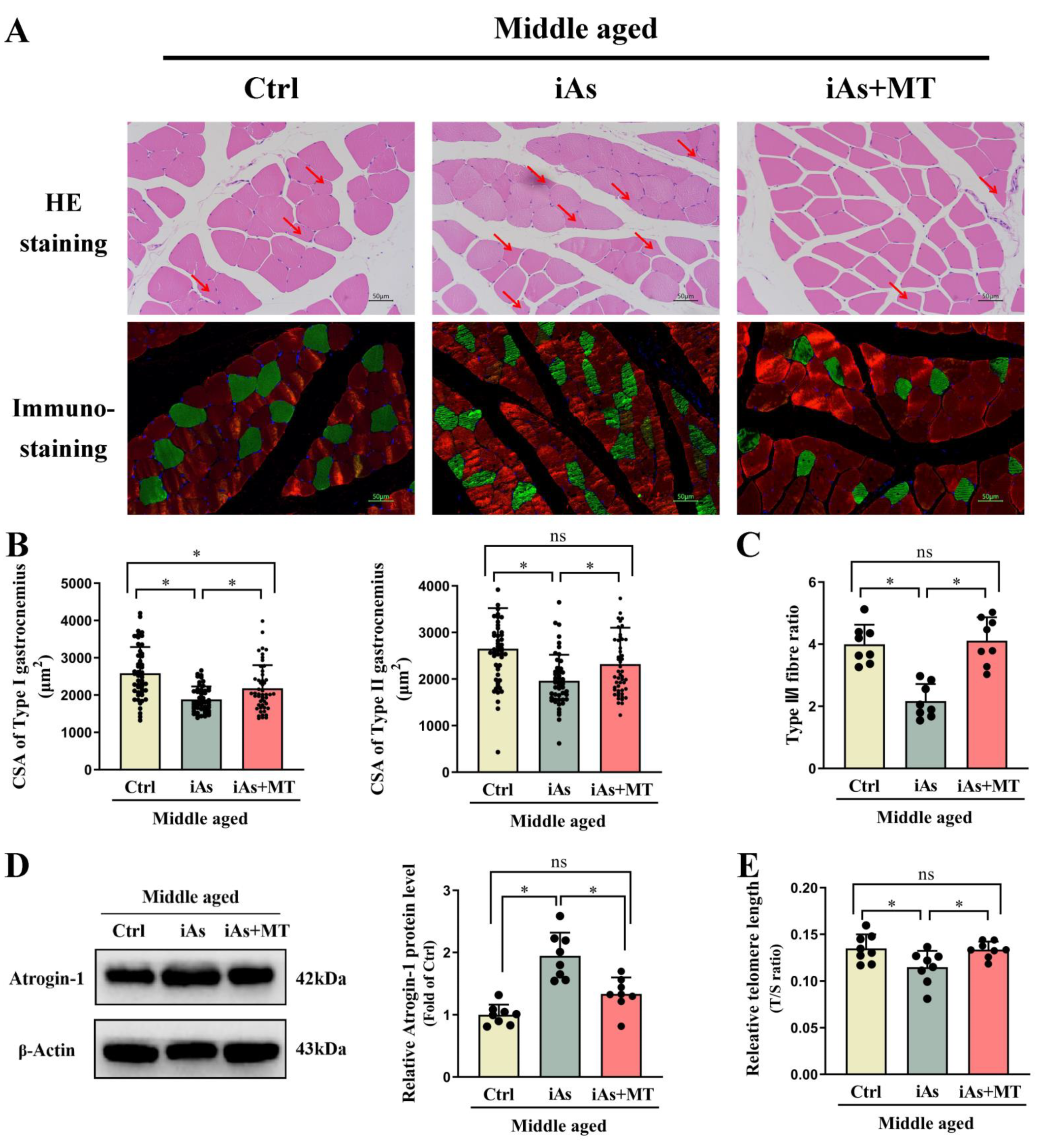 Toxics 11 00689 g008