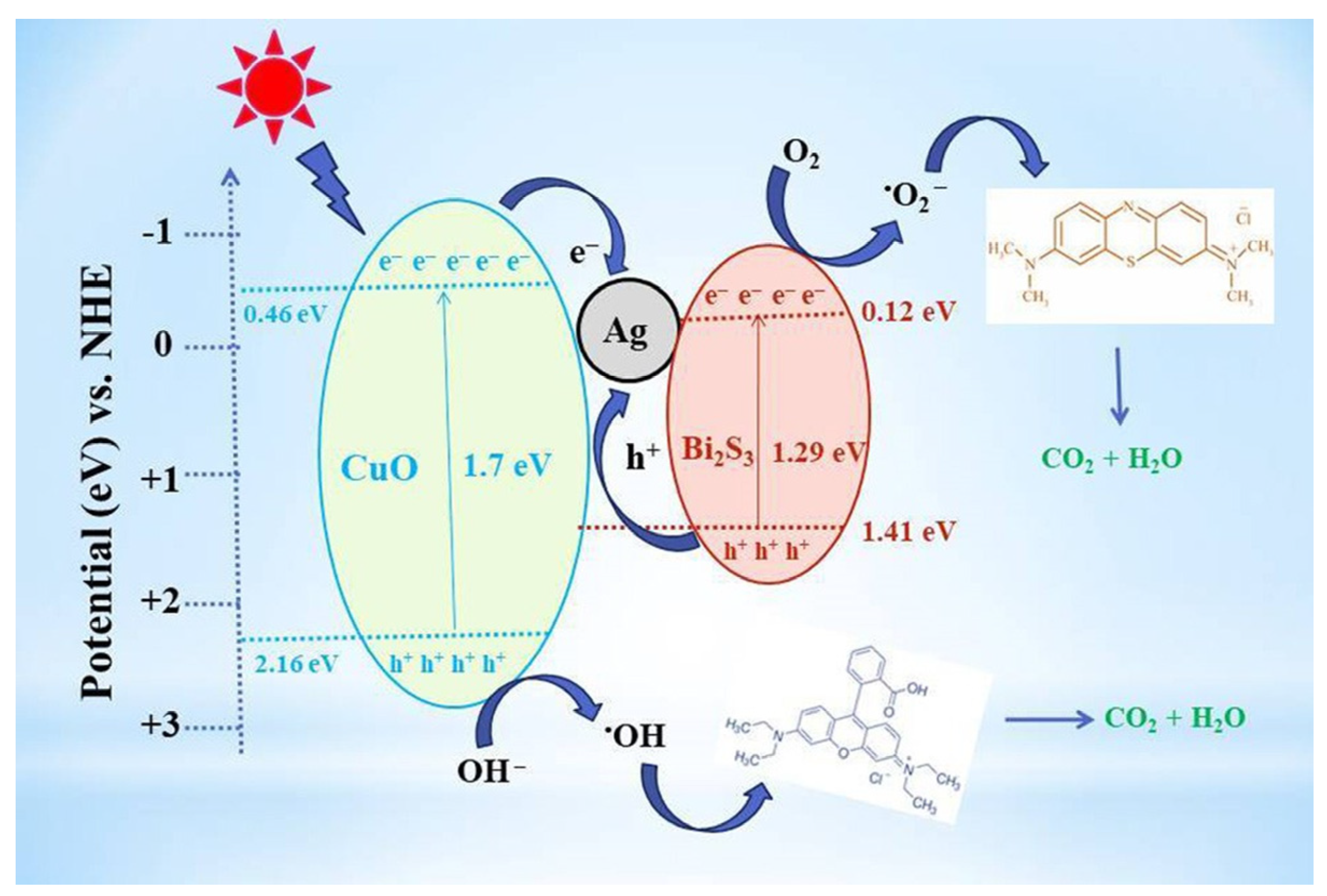 Toxics 11 00692 g007