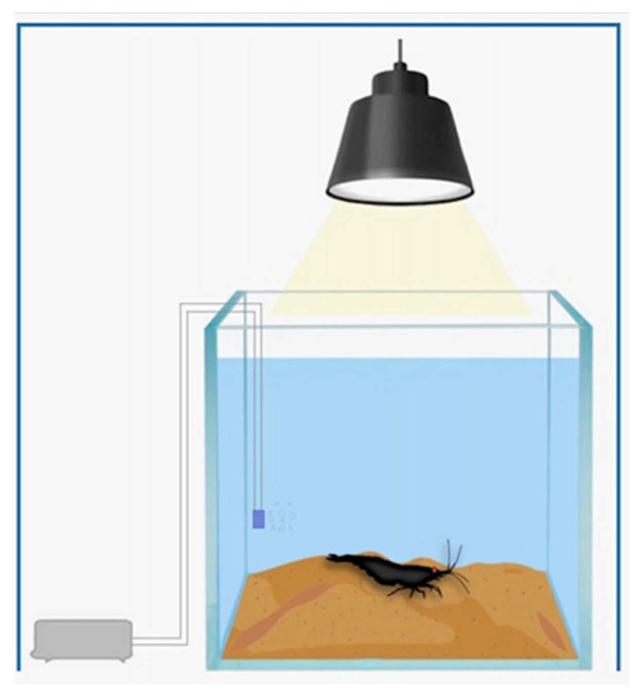 Toxics 11 00694 g002