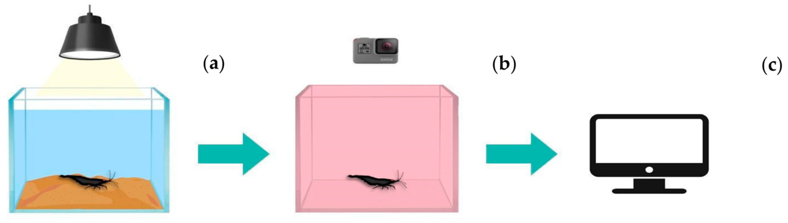 Toxics 11 00694 g003