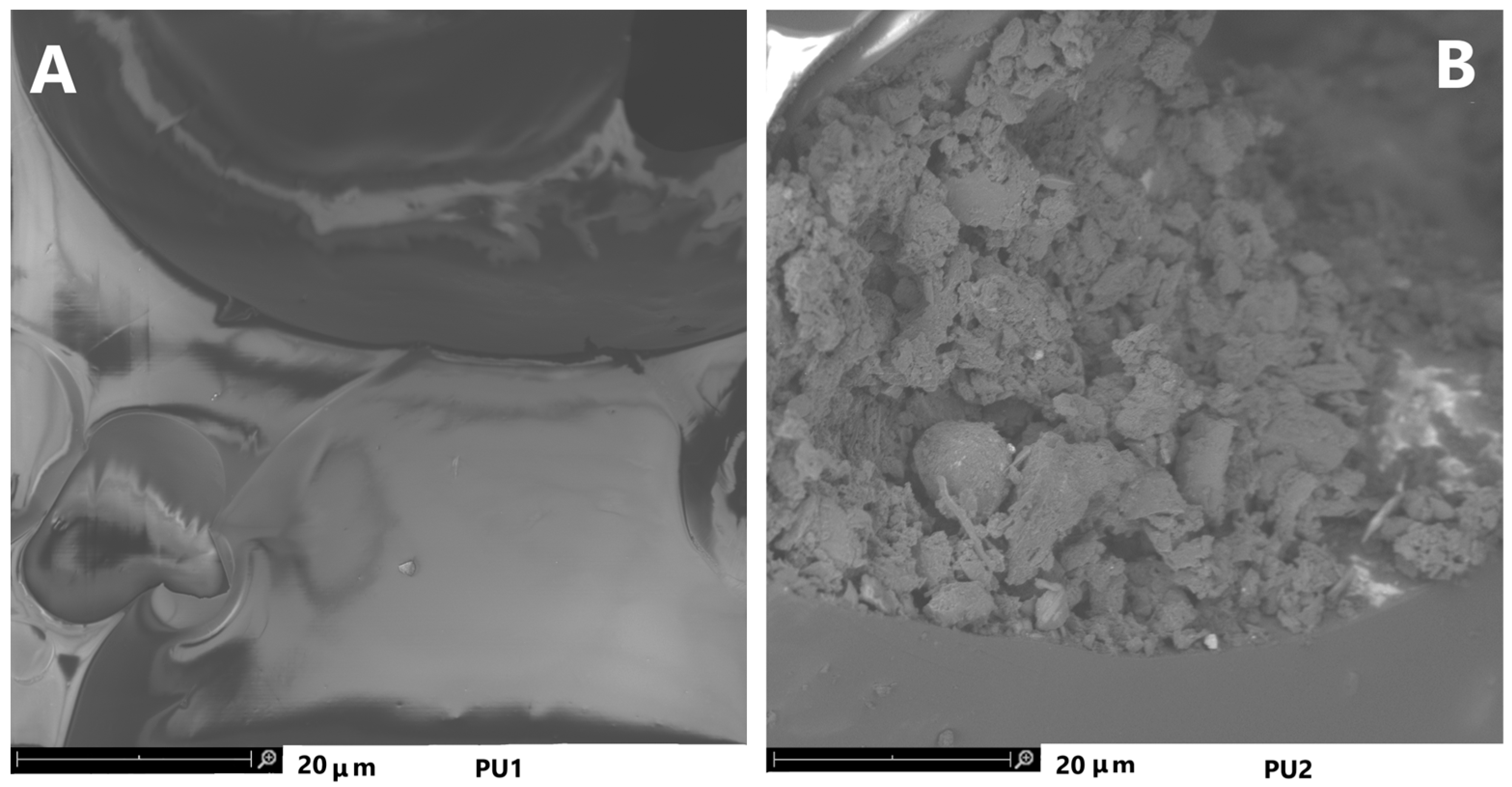 Toxics 11 00698 g008