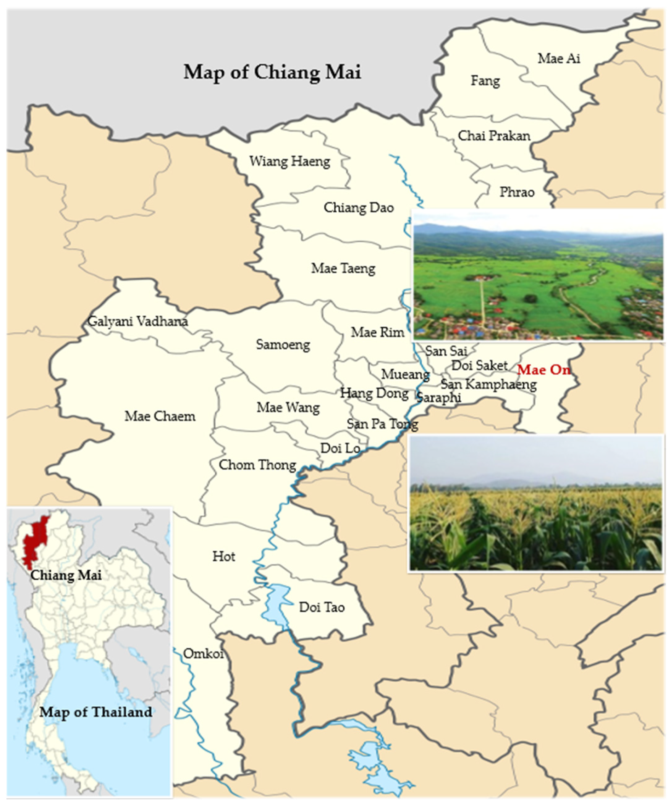 Toxics 11 00707 g001