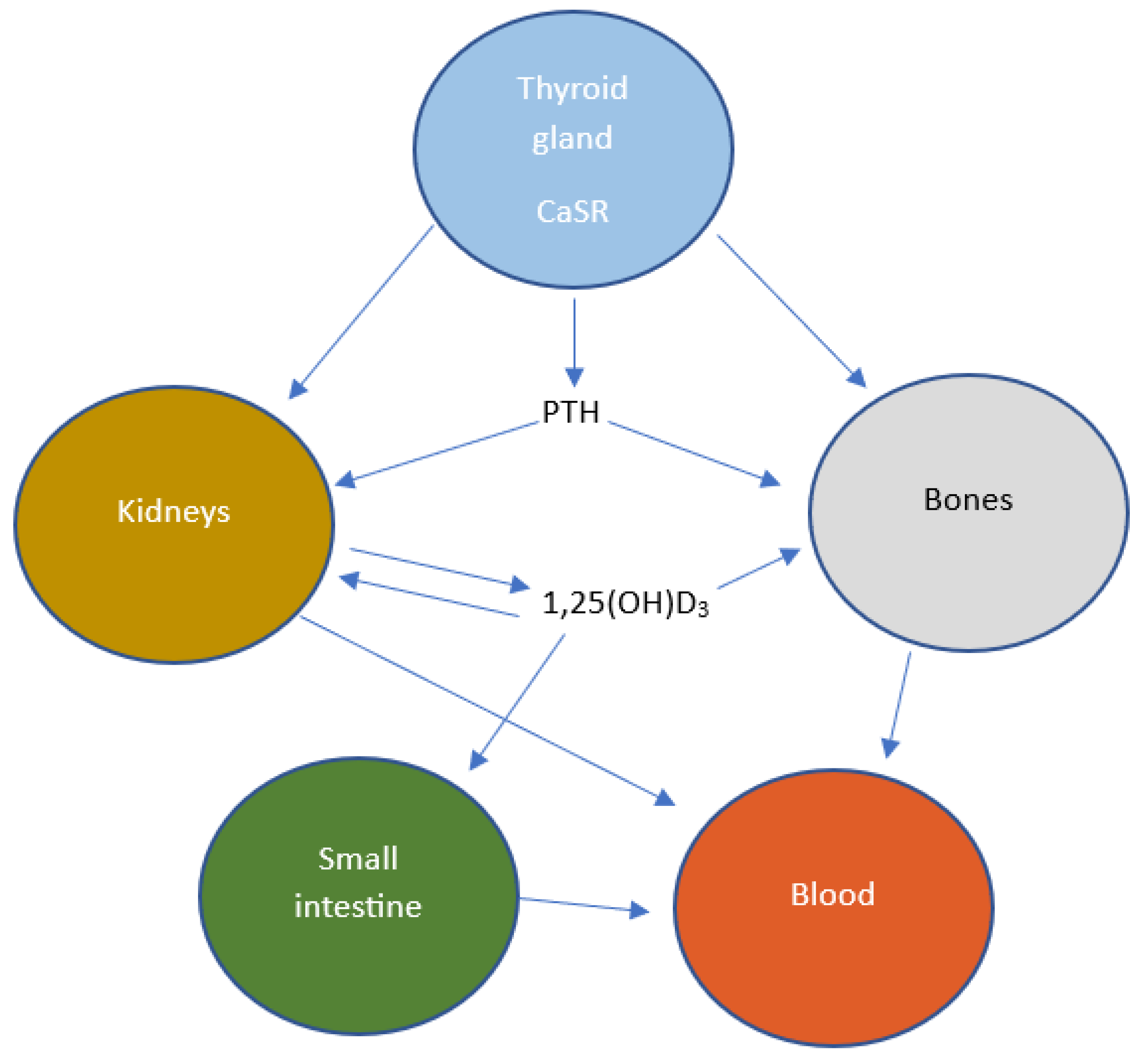 Toxics 11 00723 g002