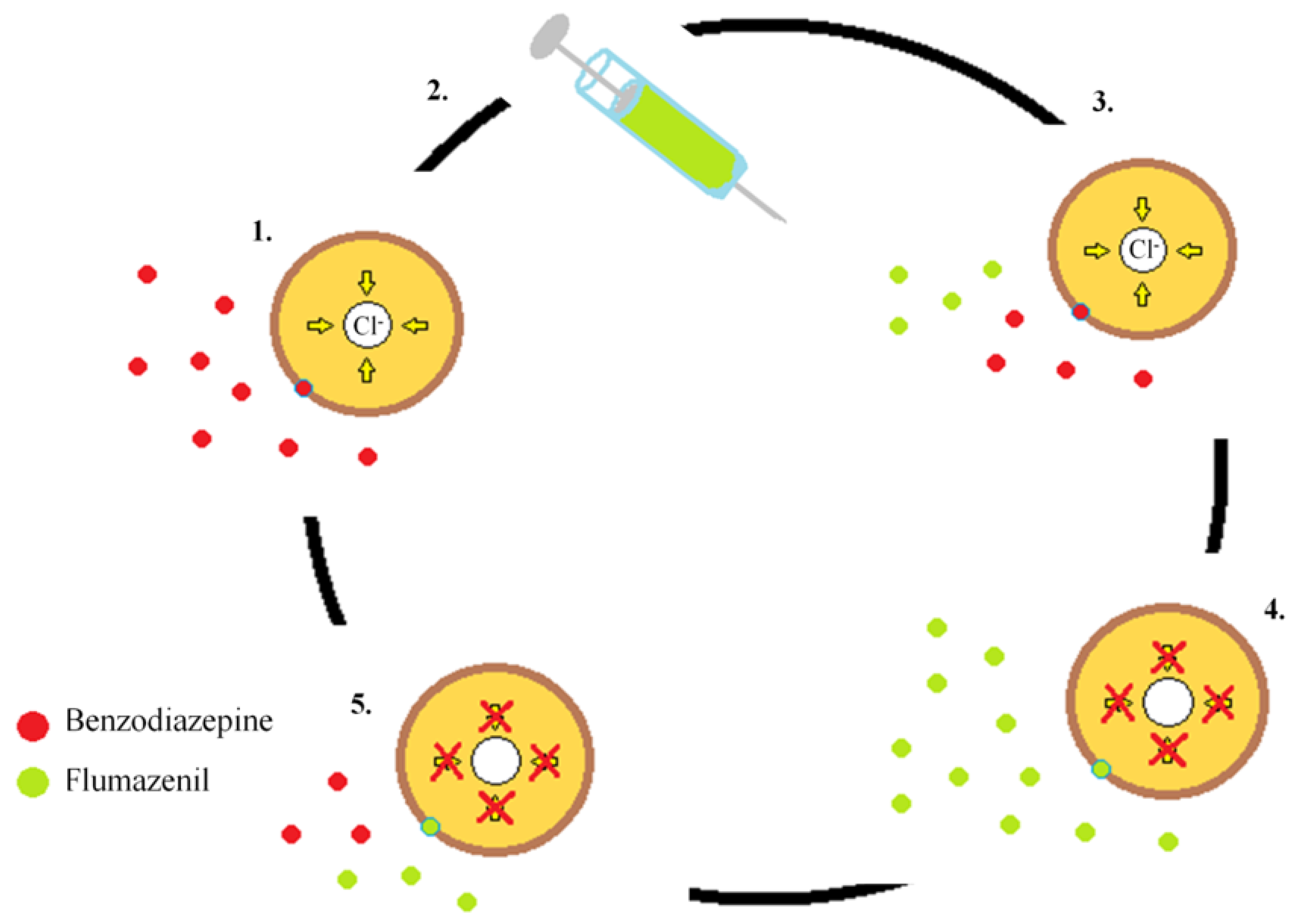 Toxics 11 00723 g004