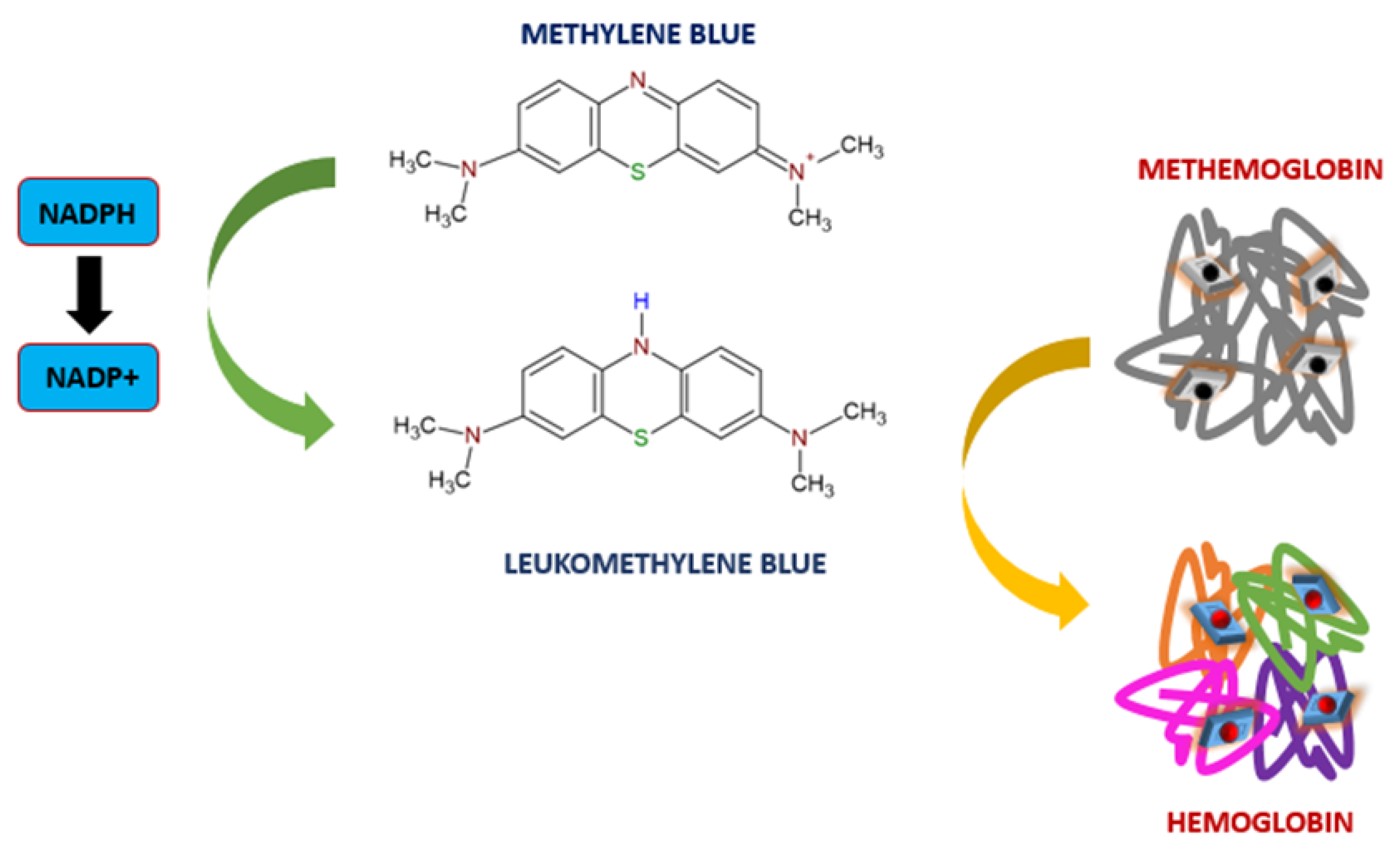 Toxics 11 00723 g008