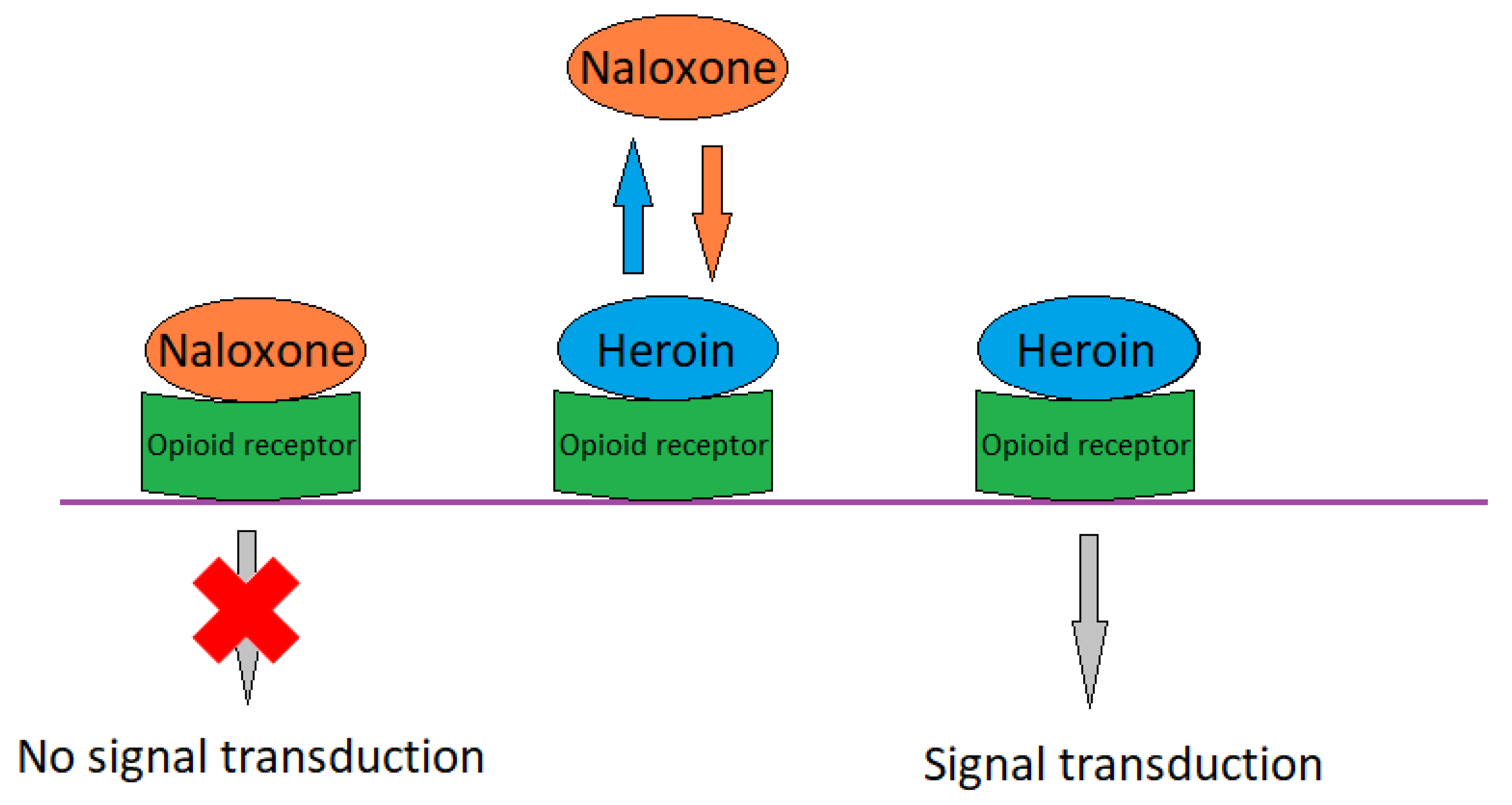 Toxics 11 00723 g009