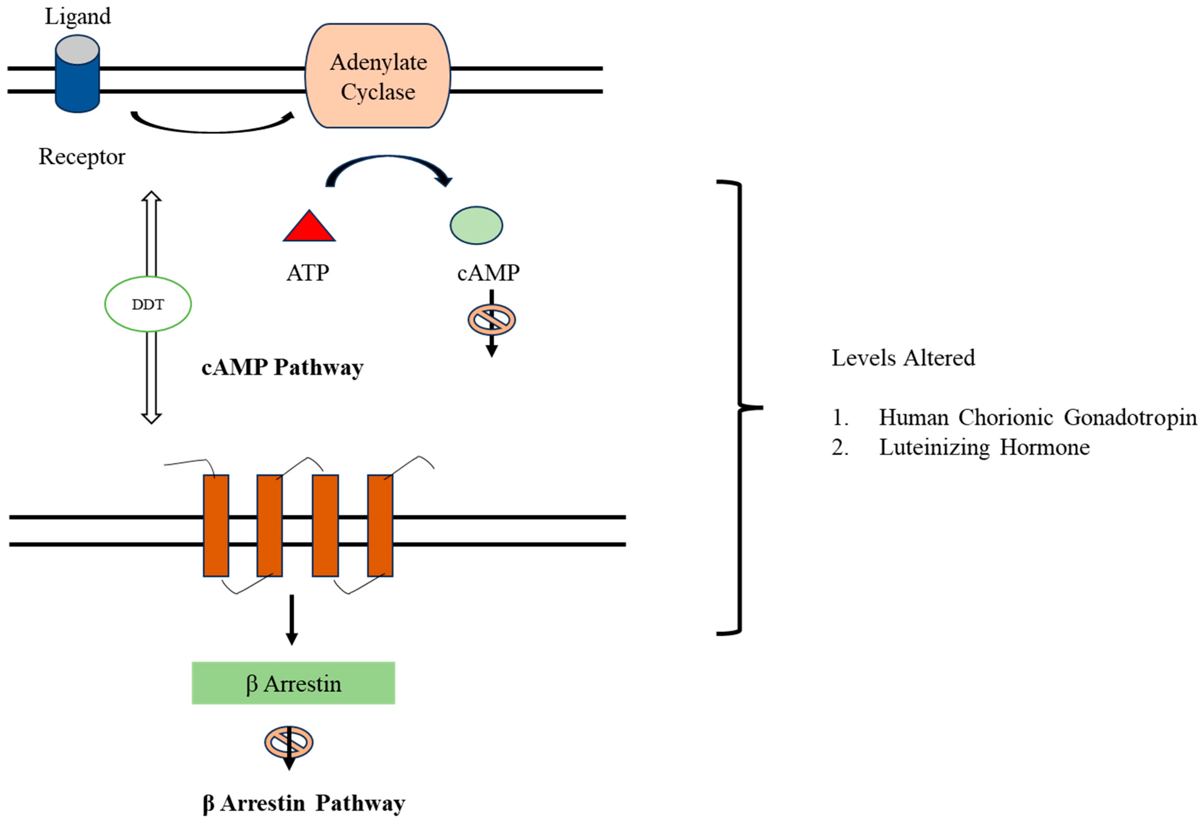 Toxics 11 00725 g006 Toxics 11 00725 g006