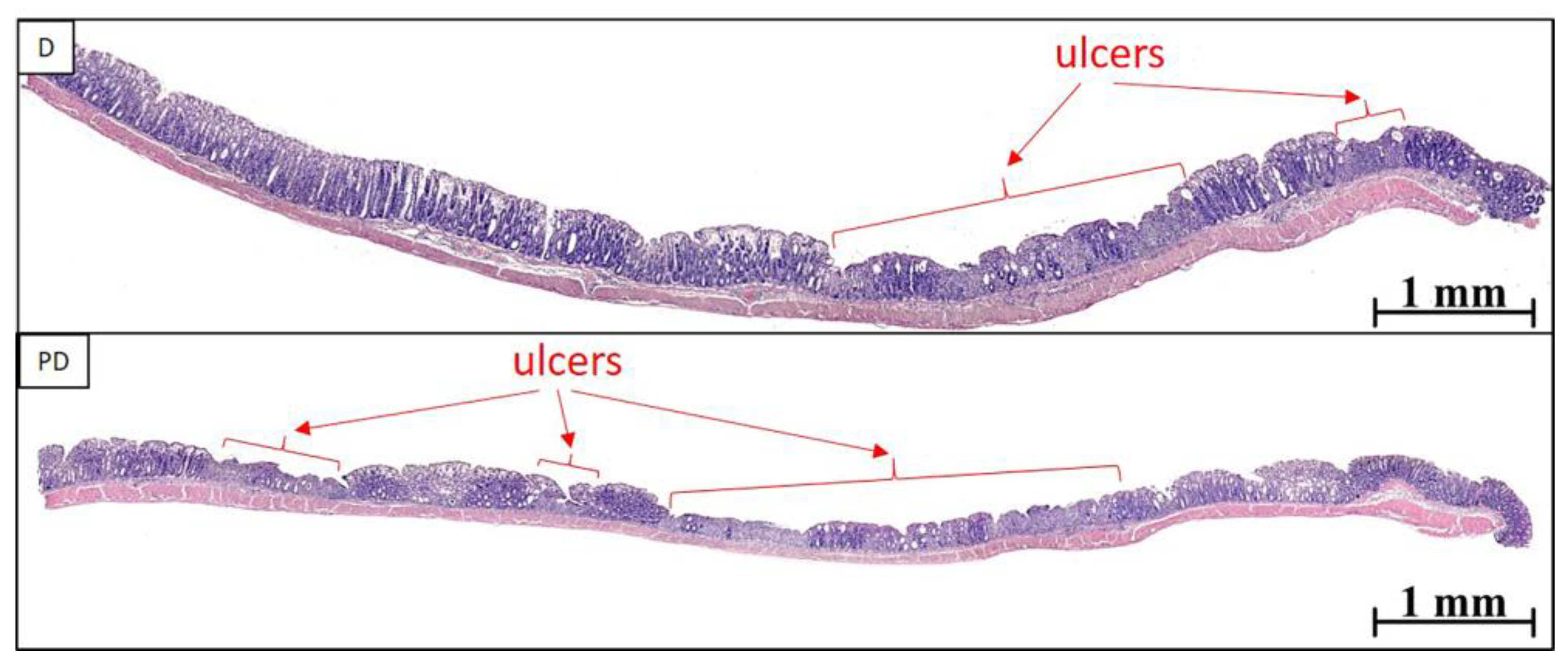 Toxics 11 00730 g003