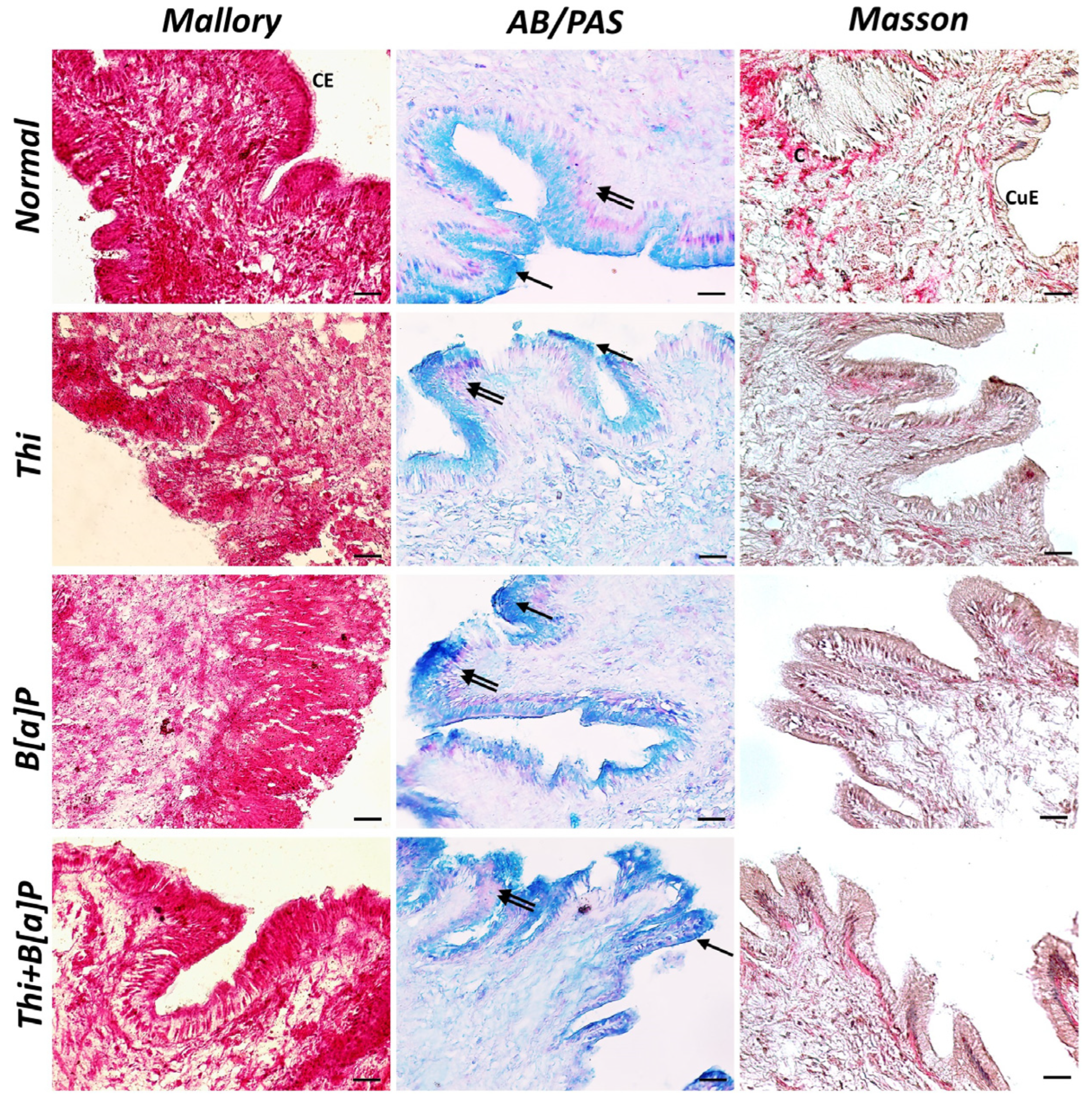 Toxics 11 00731 g001 Toxics 11 00731 g001