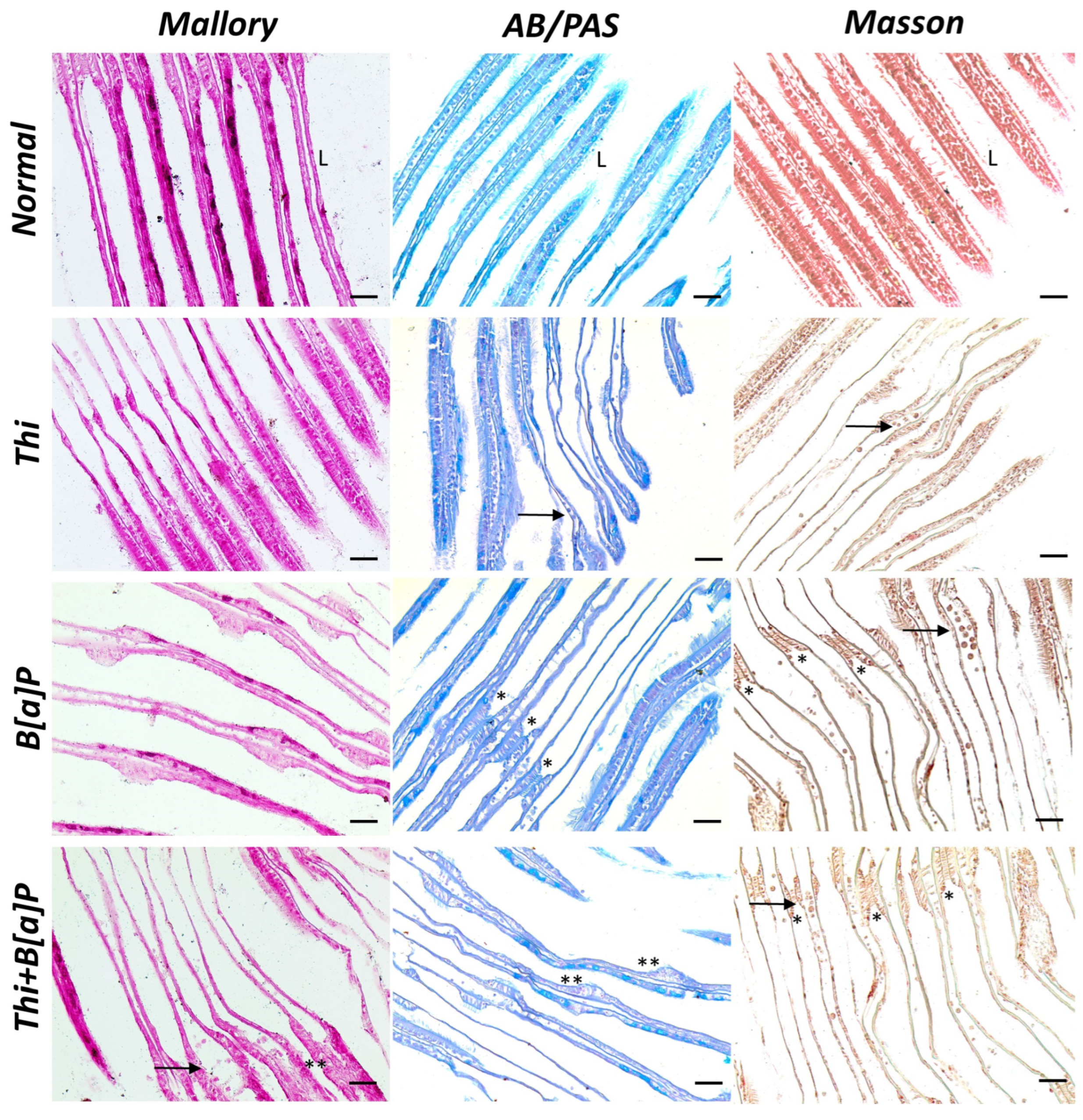 Toxics 11 00731 g002 Toxics 11 00731 g002