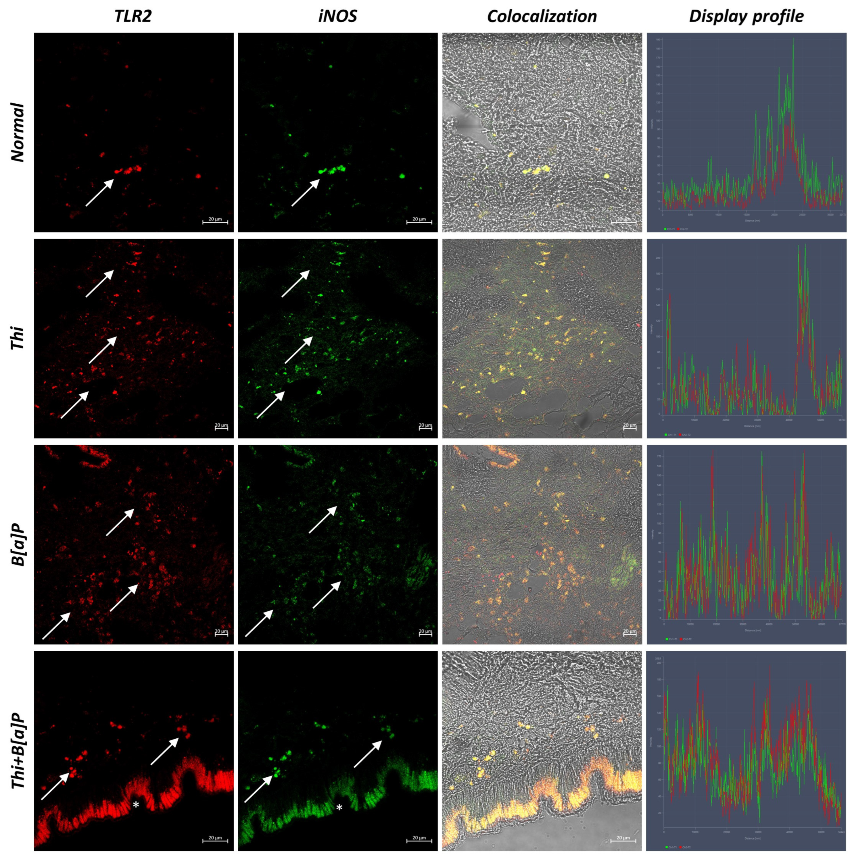 Toxics 11 00731 g003 Toxics 11 00731 g003