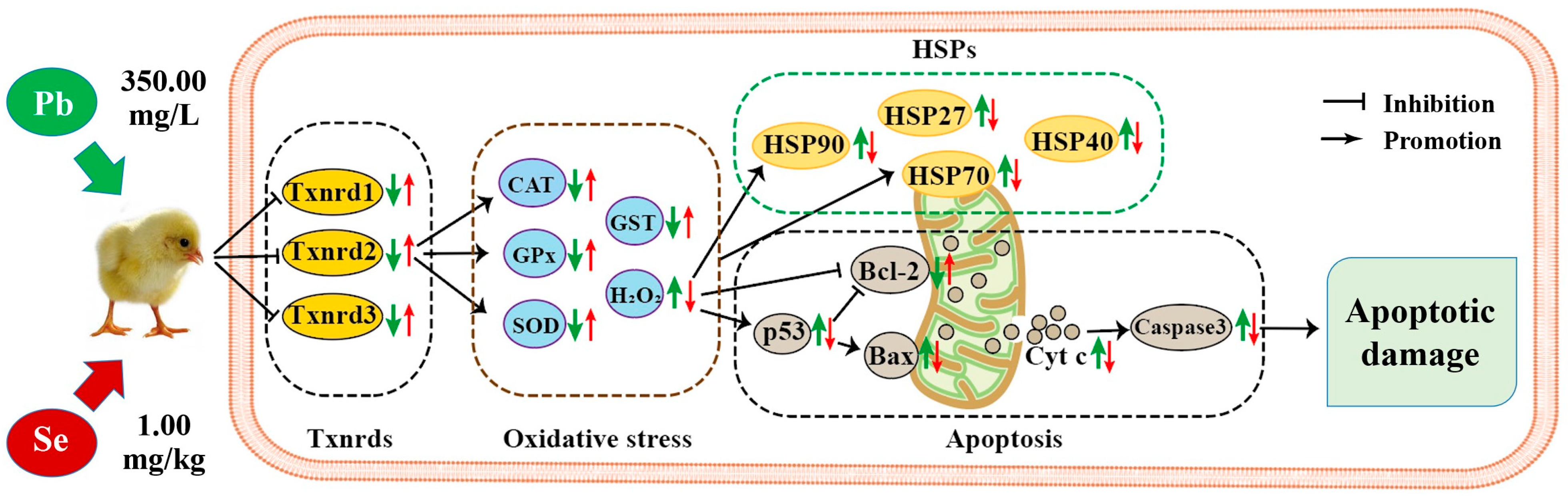 Toxics 11 00734 g007