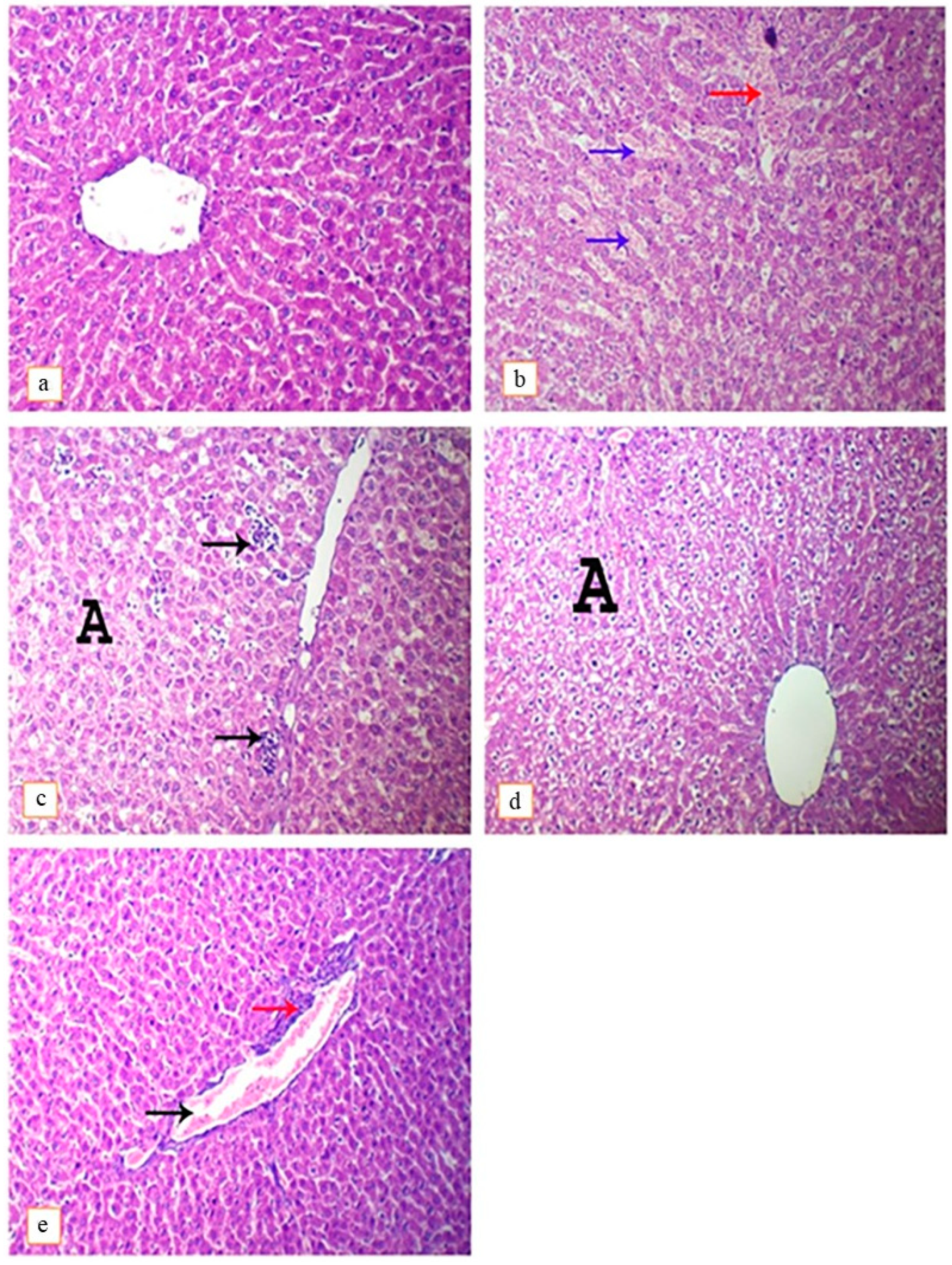 Toxics 11 00742 g003