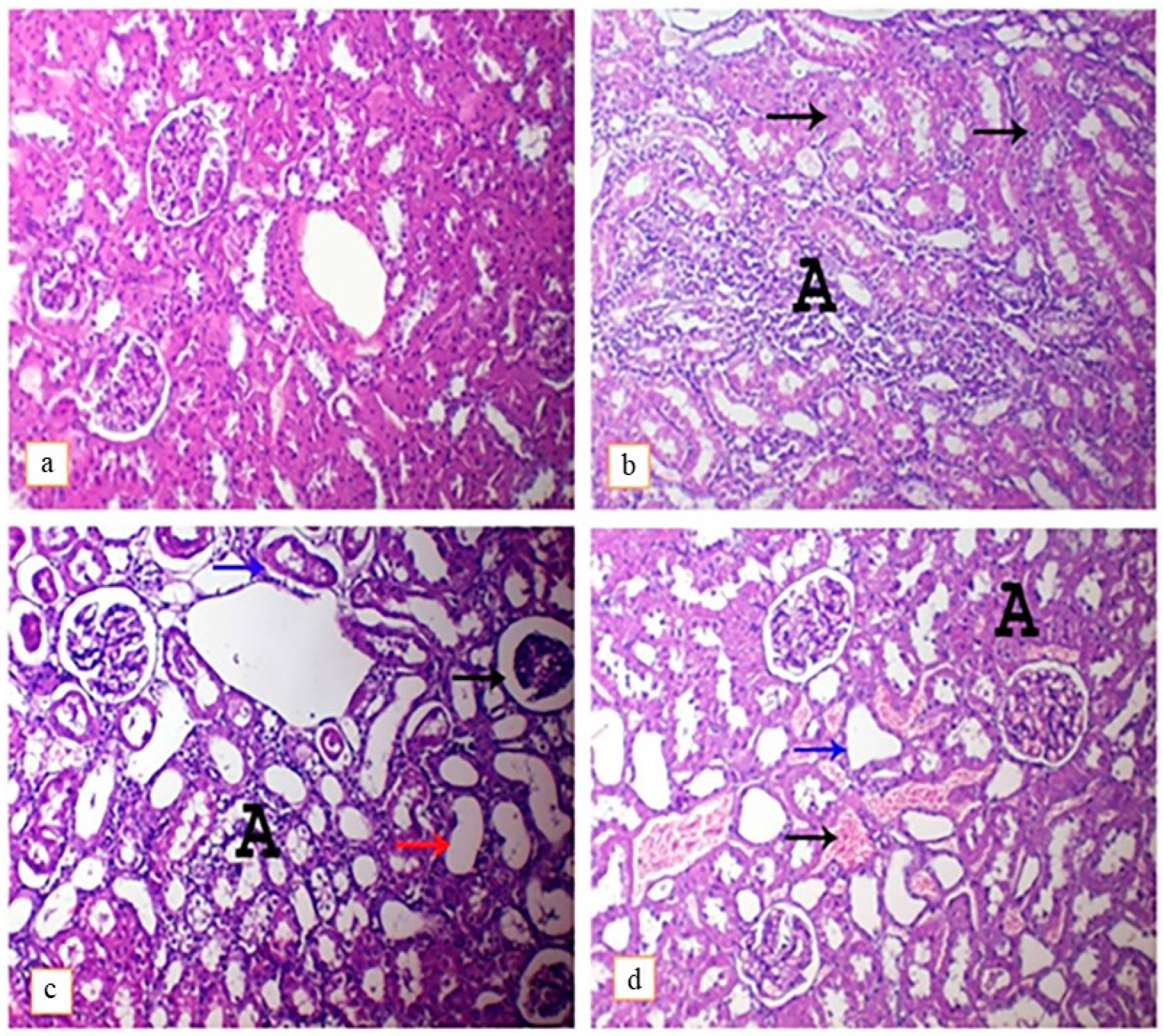 Toxics 11 00742 g004