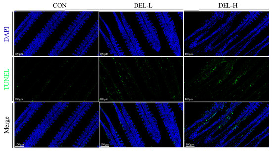 Conventional Anthelmintic Concentration of Deltamethrin Conventional Anthelmintic Concentration of Deltamethrin