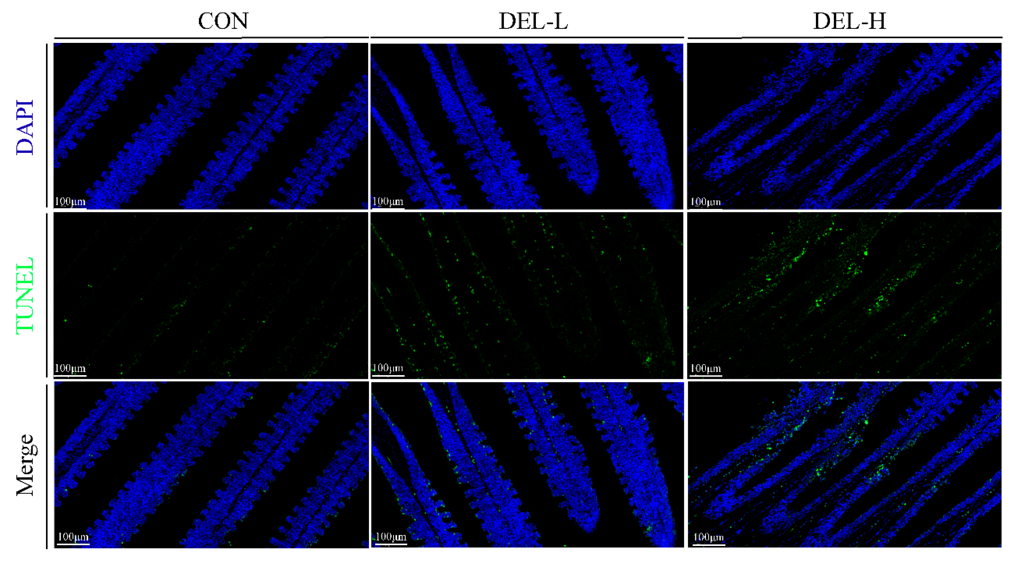 Toxics 11 00743 g002