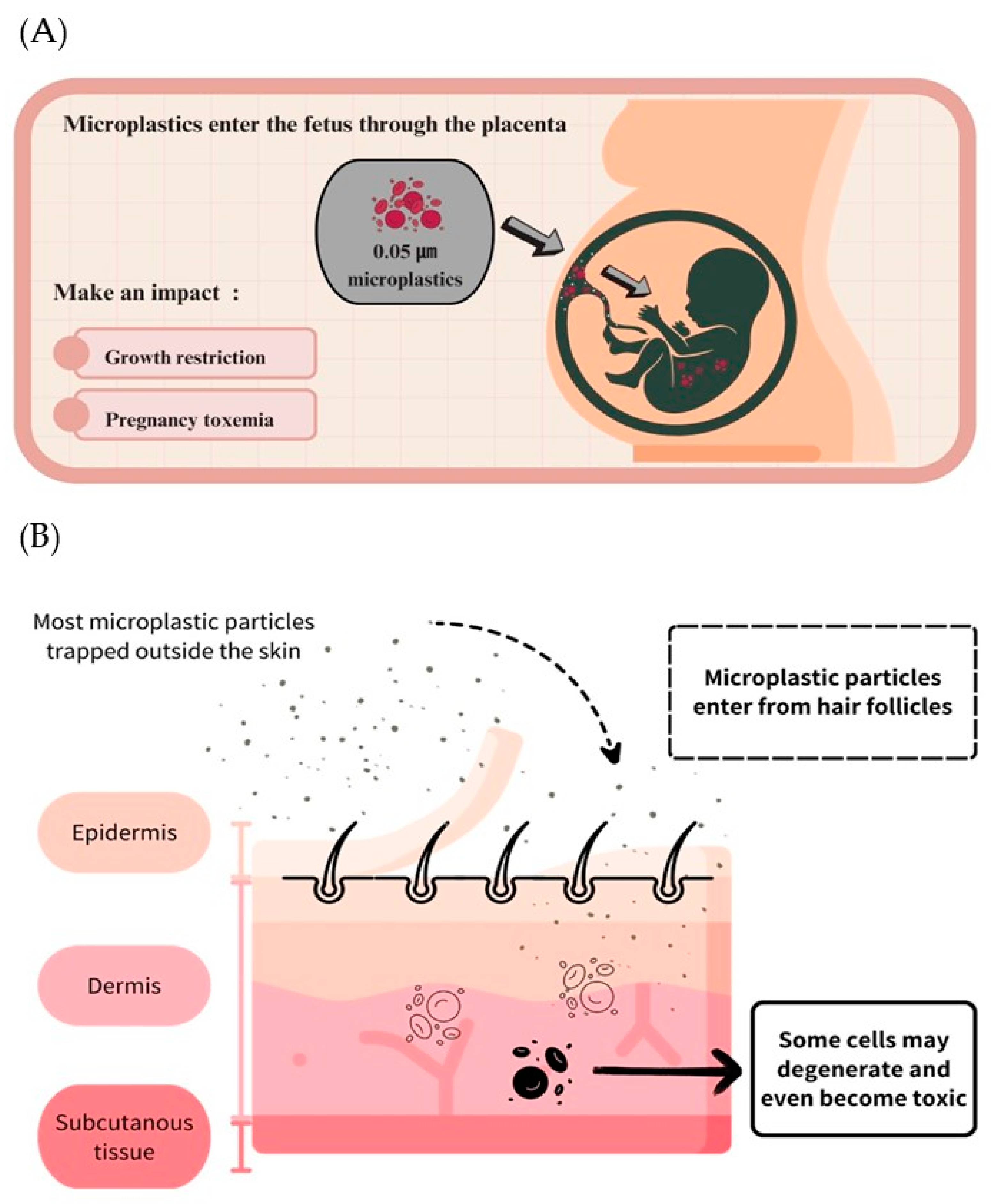 Toxics 11 00747 g005