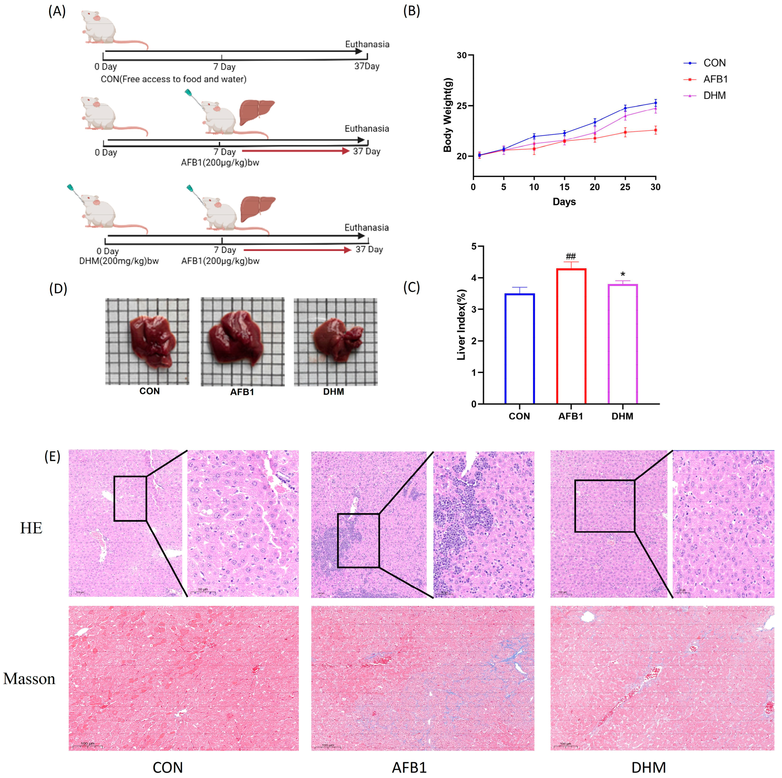 Toxics 11 00760 g004