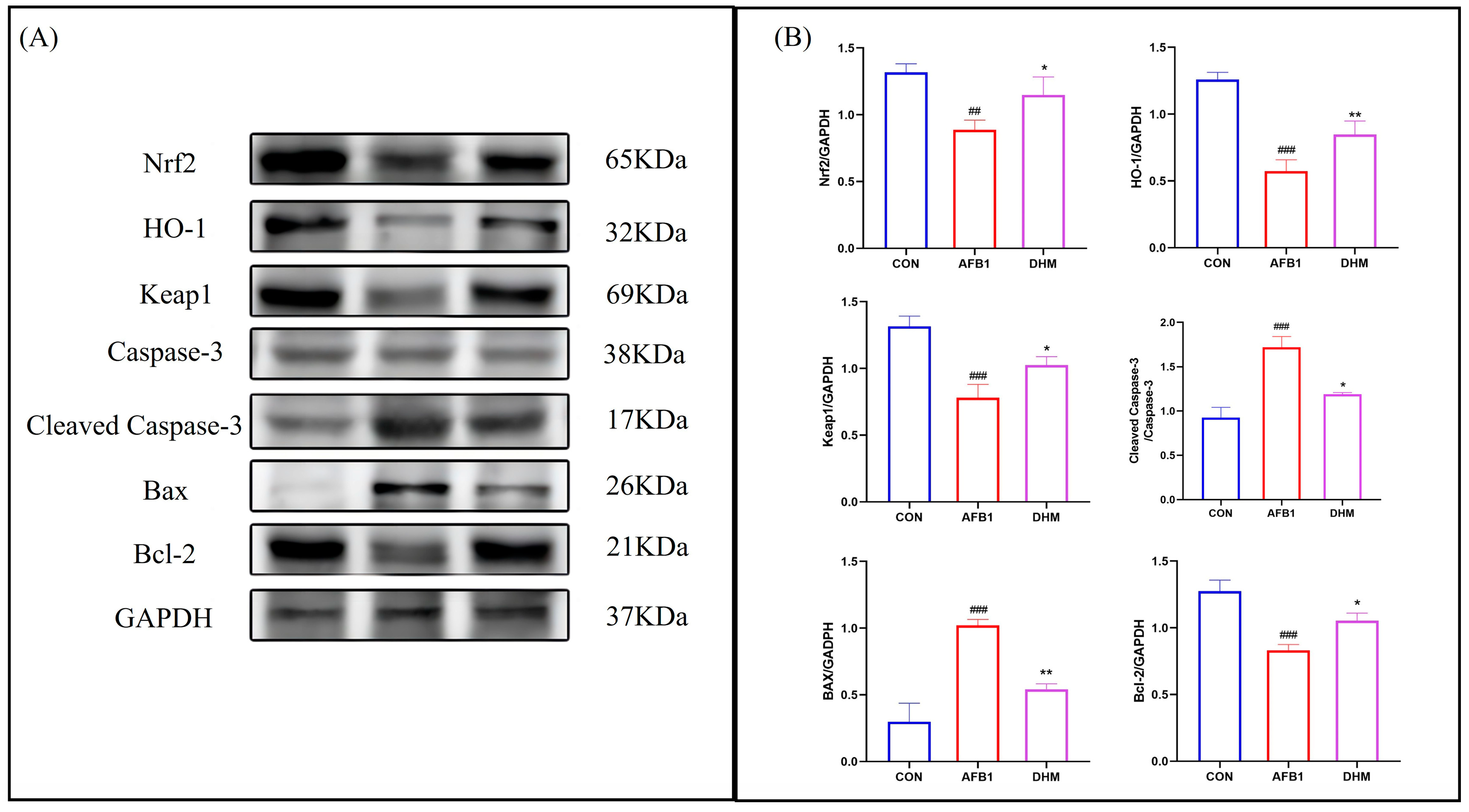 Toxics 11 00760 g007