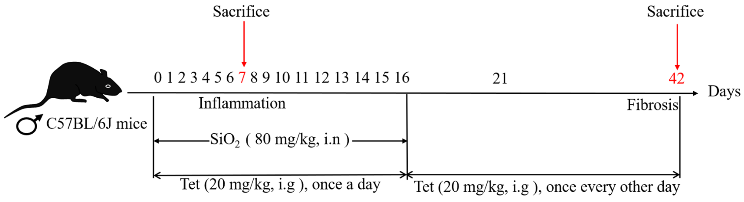 Toxics 11 00765 g001