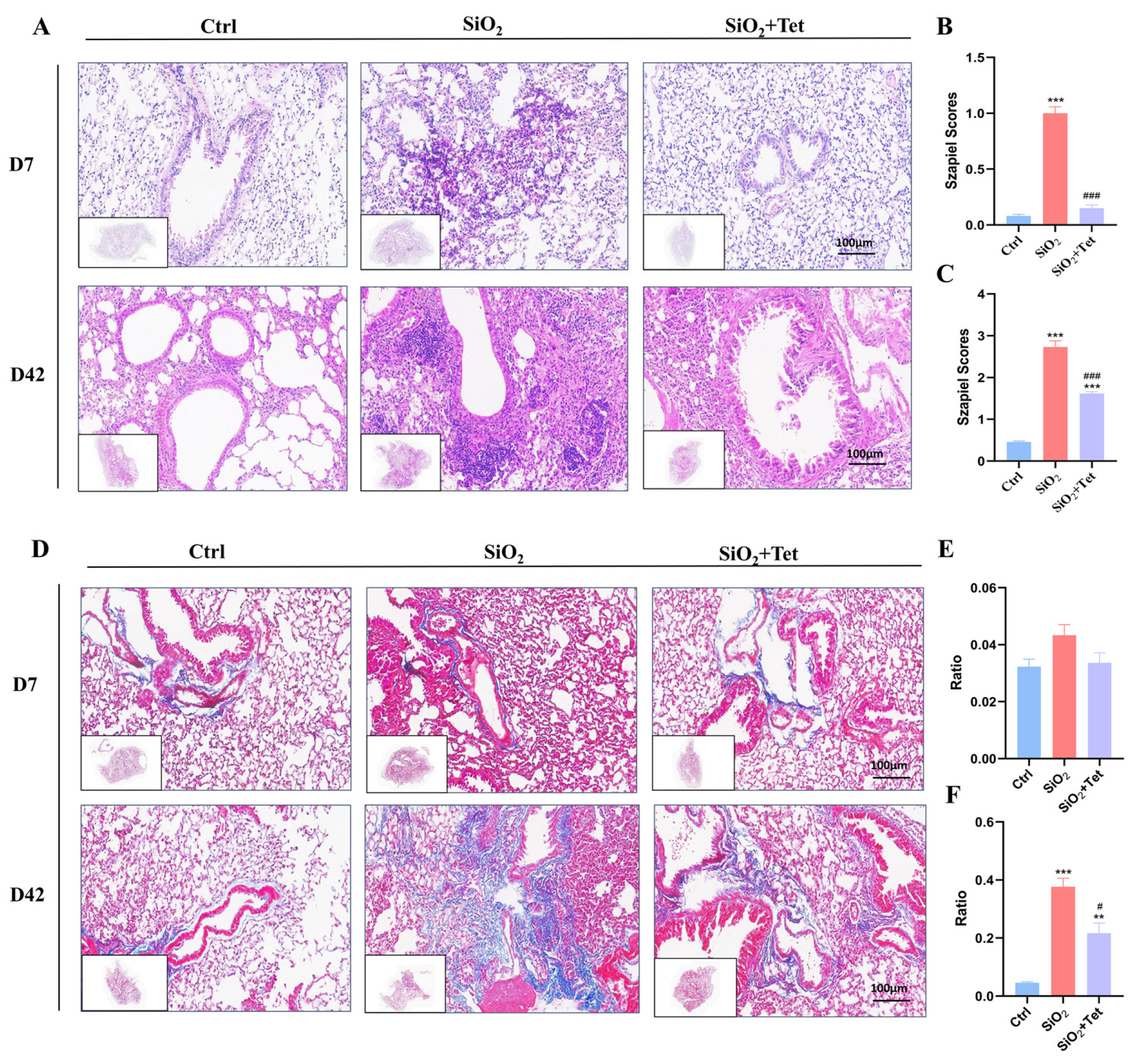 Toxics 11 00765 g003