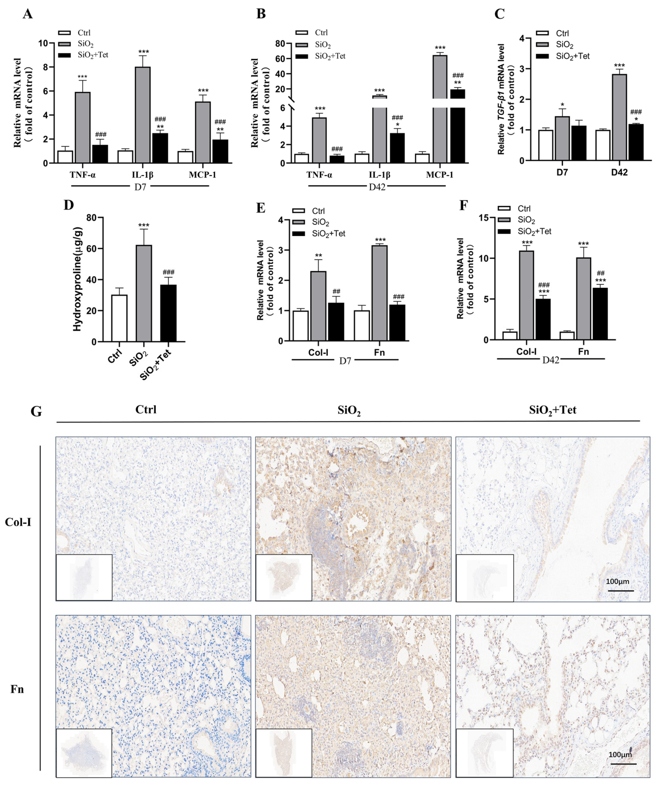 Toxics 11 00765 g004