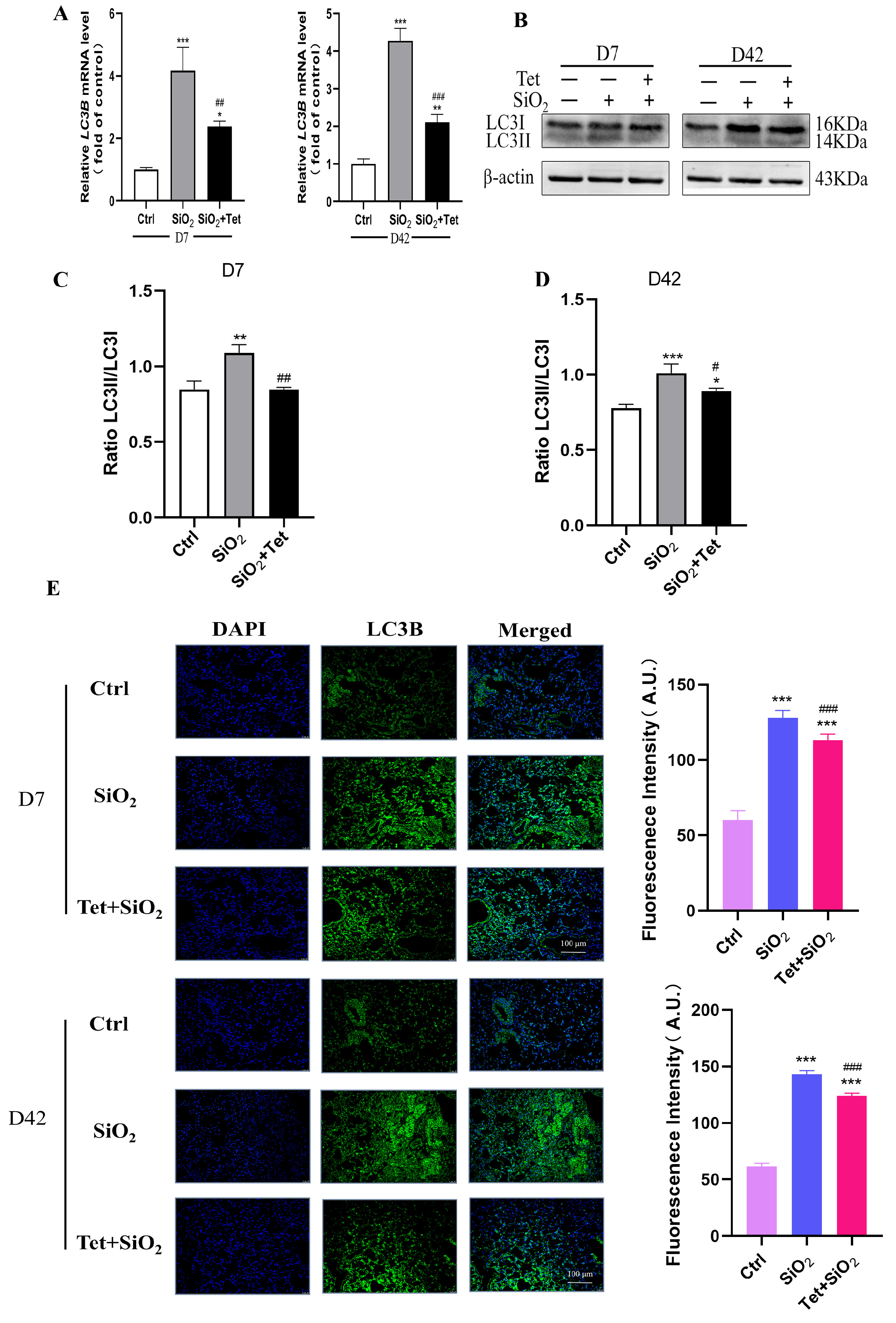 Toxics 11 00765 g006