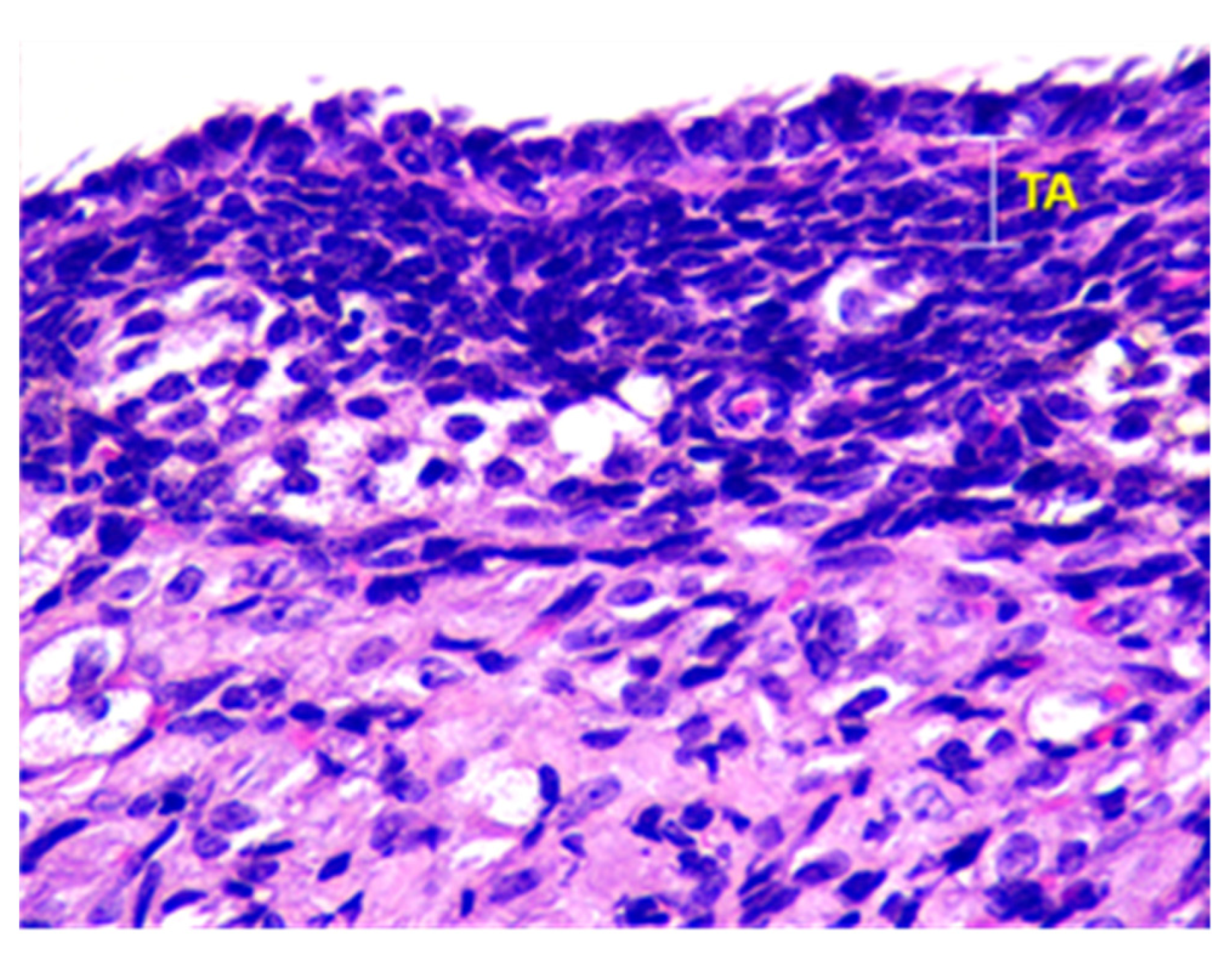 Toxics 11 00769 g002