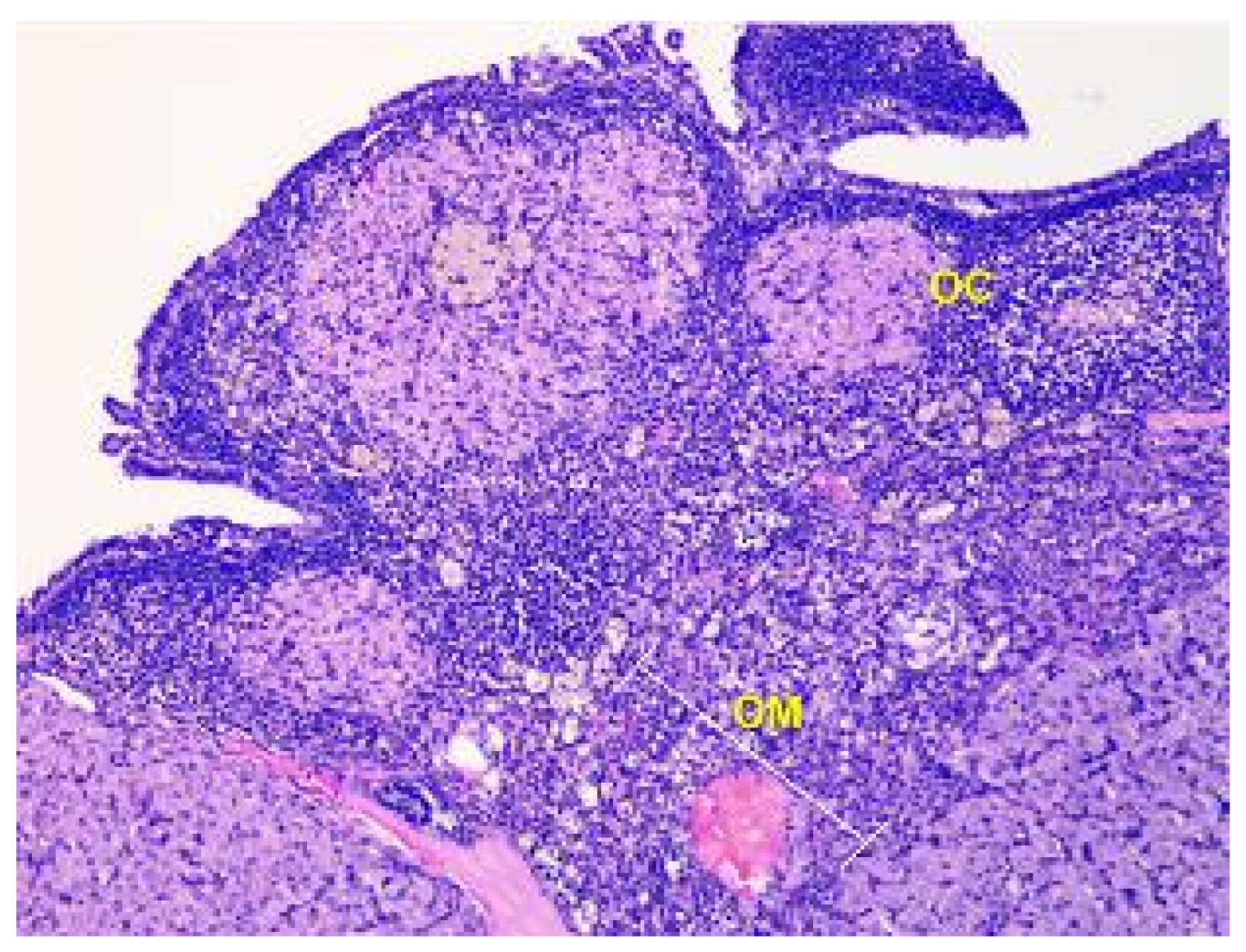 Toxics 11 00769 g003