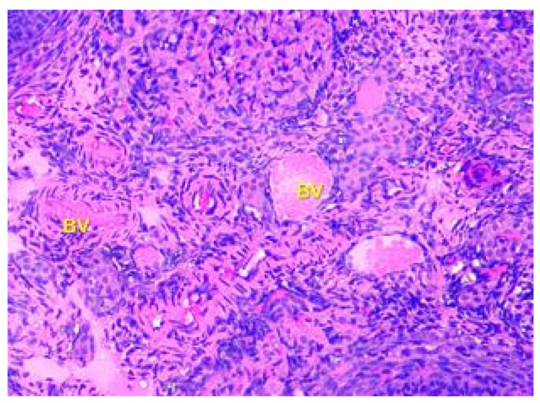 Toxics 11 00769 g004