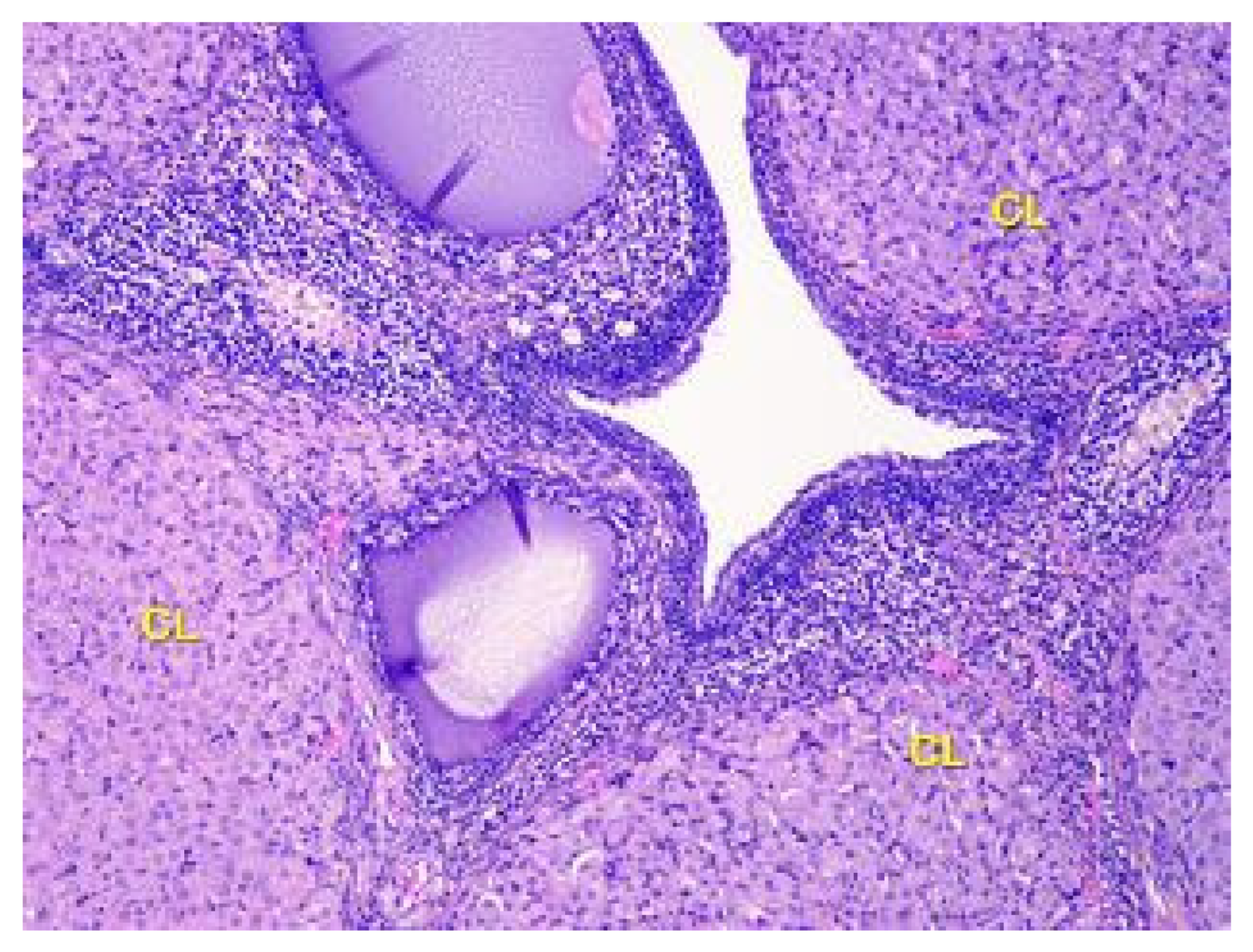 Toxics 11 00769 g006