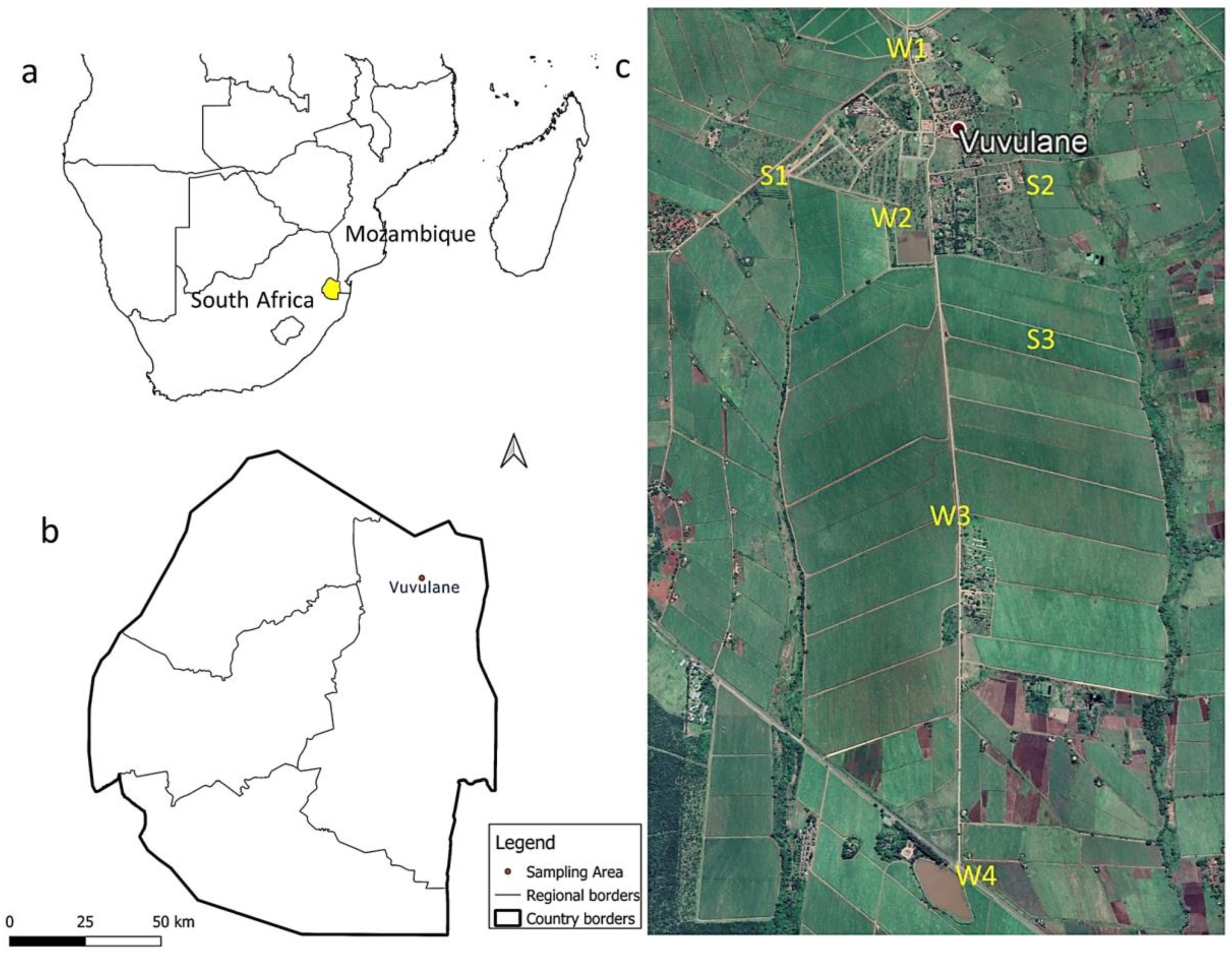 Toxics 11 00770 g001
