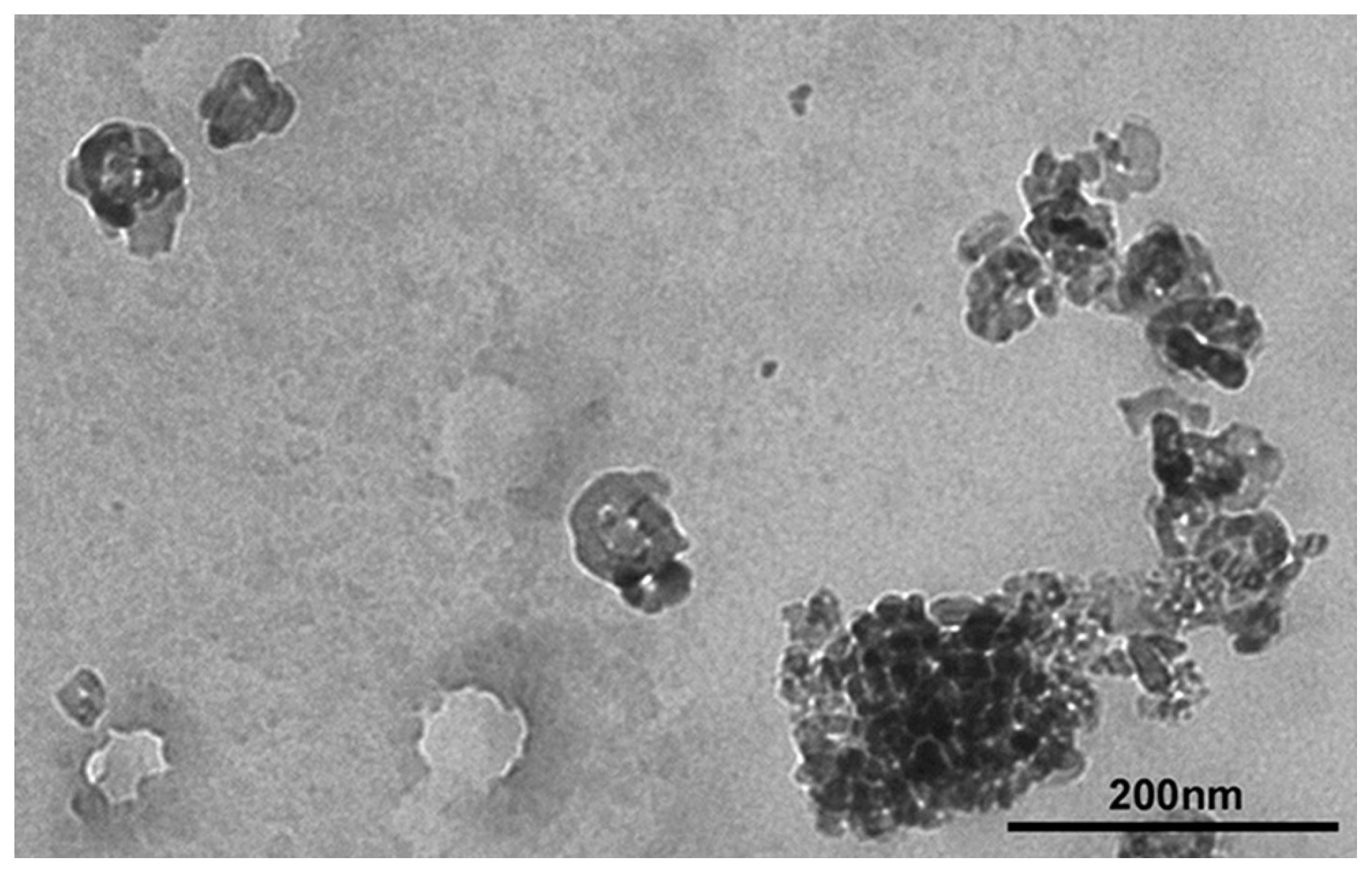 Toxics 11 00776 g001