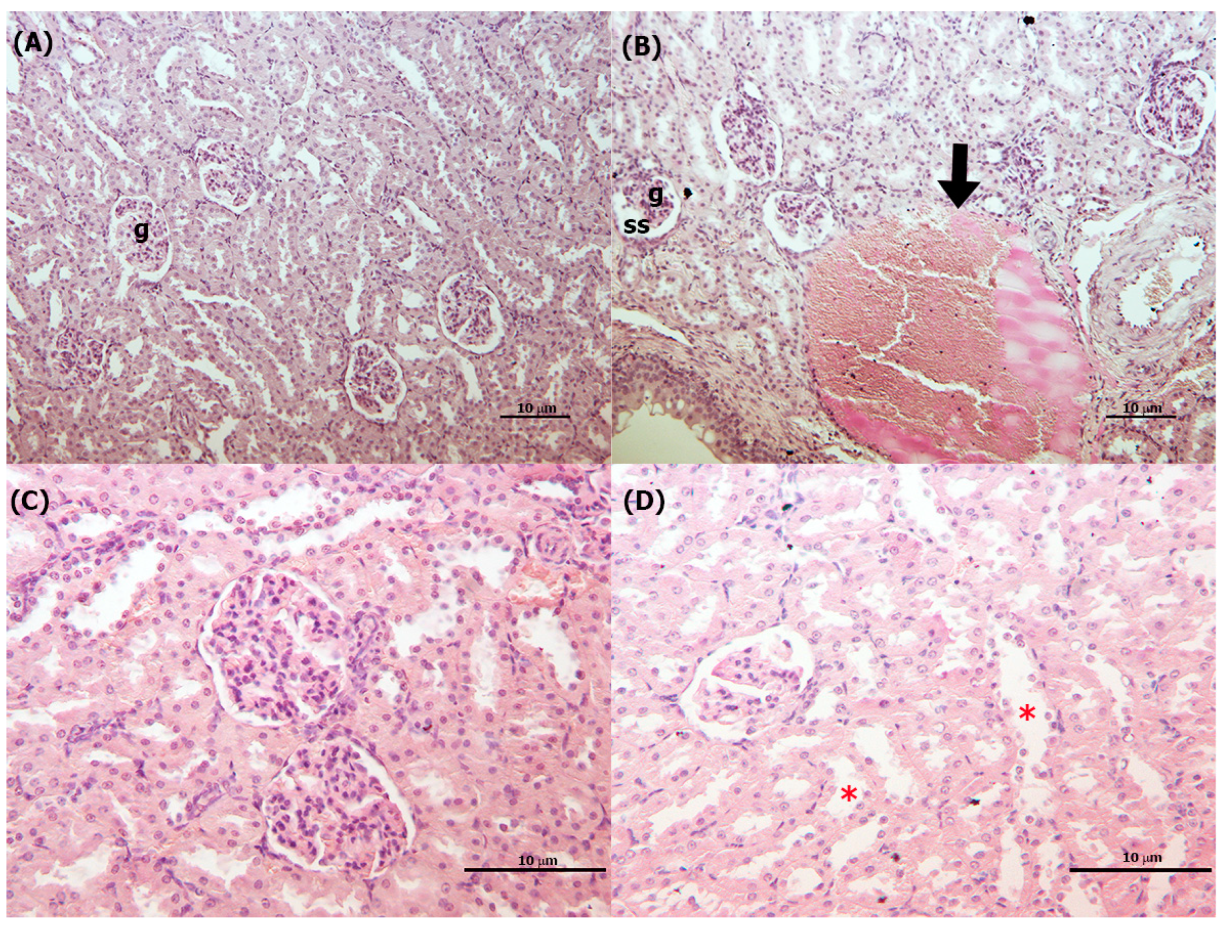Toxics 11 00776 g005