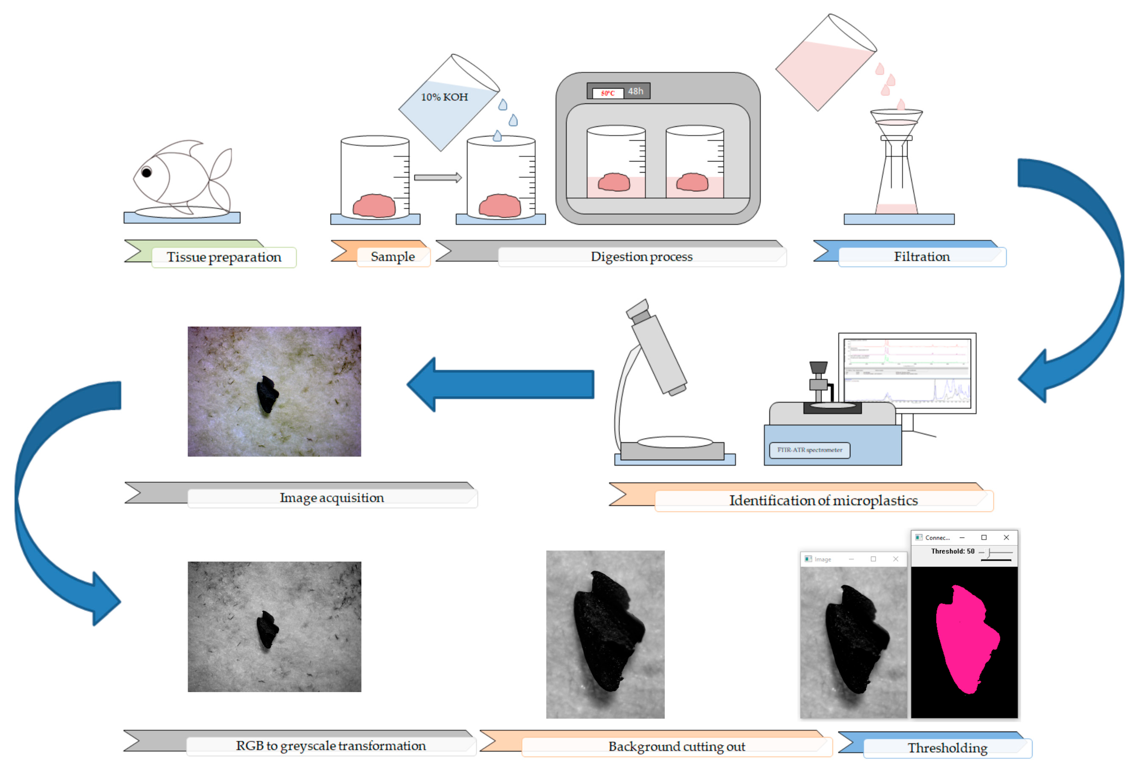 Toxics 11 00779 g002