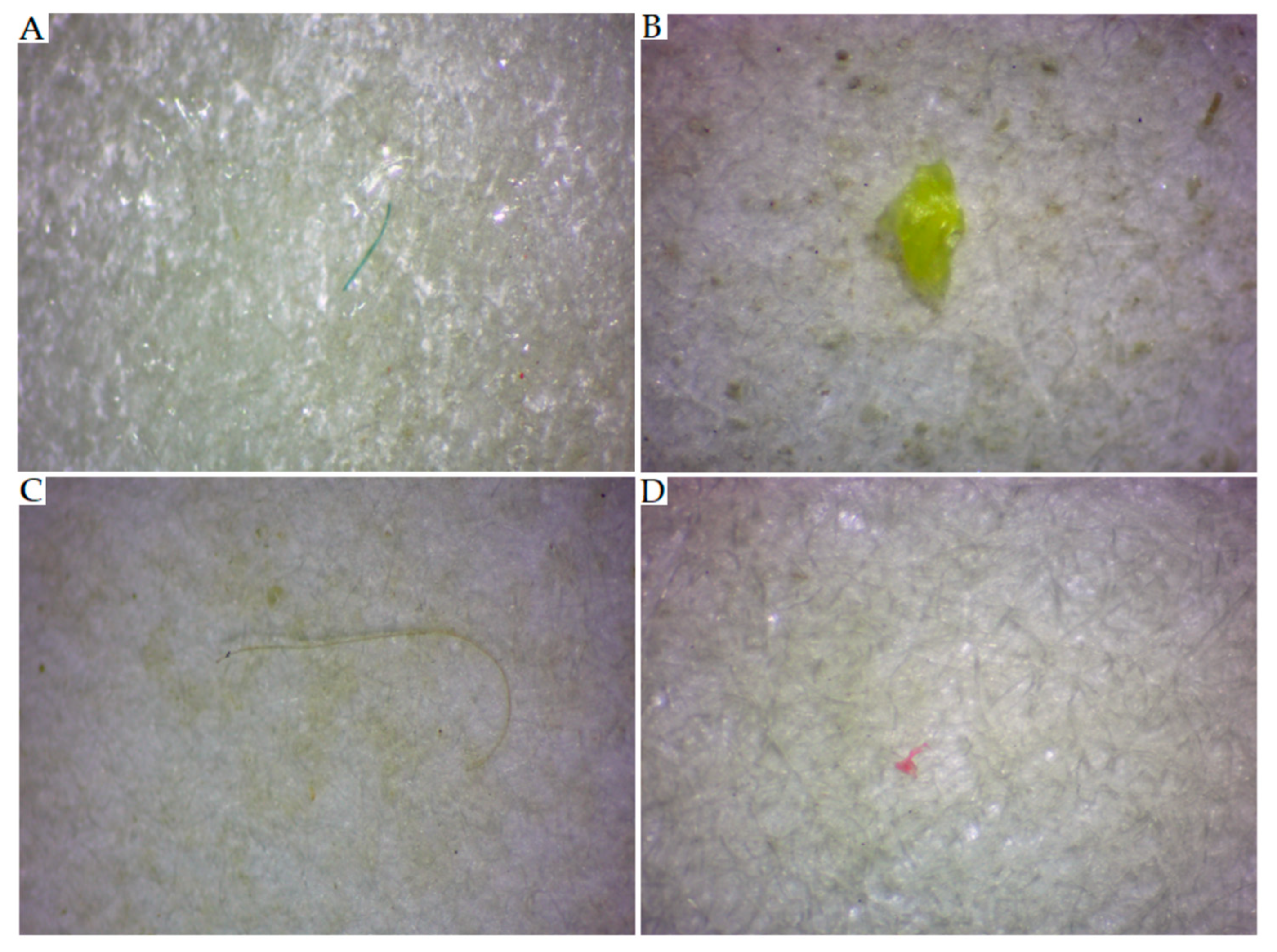 Toxics 11 00779 g004