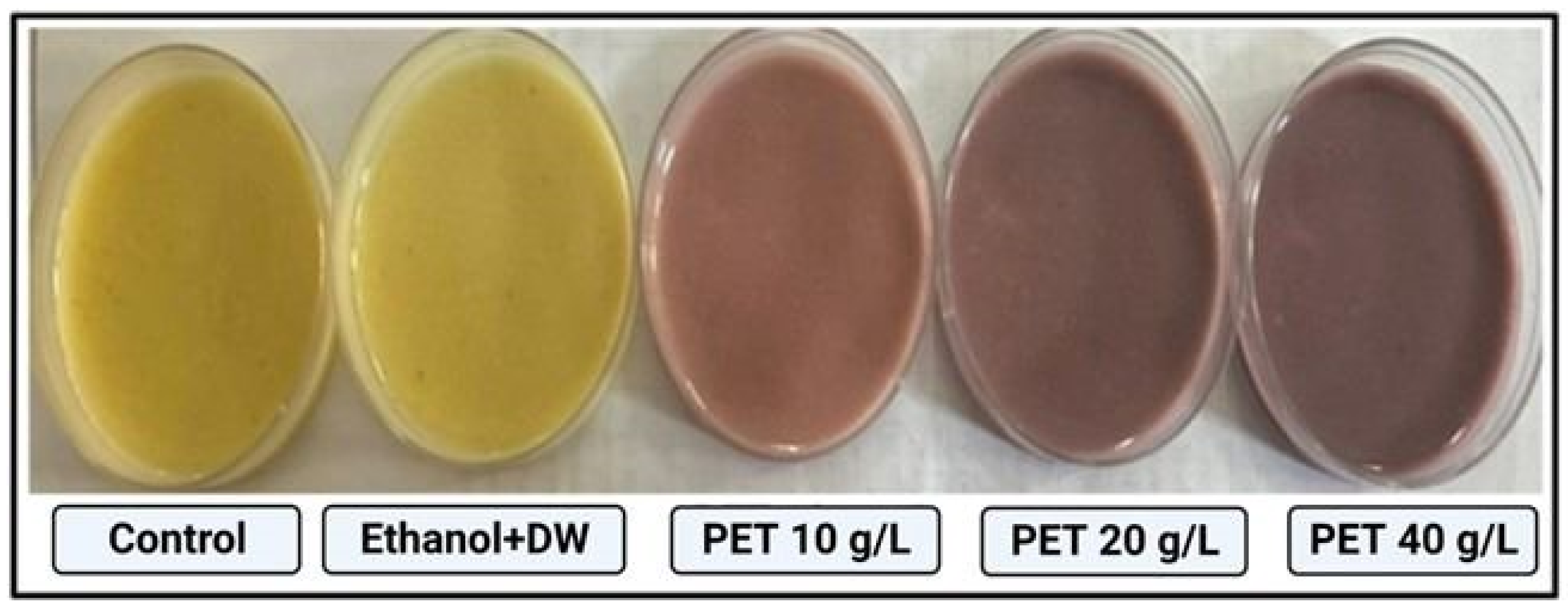 Toxics 11 00782 g001